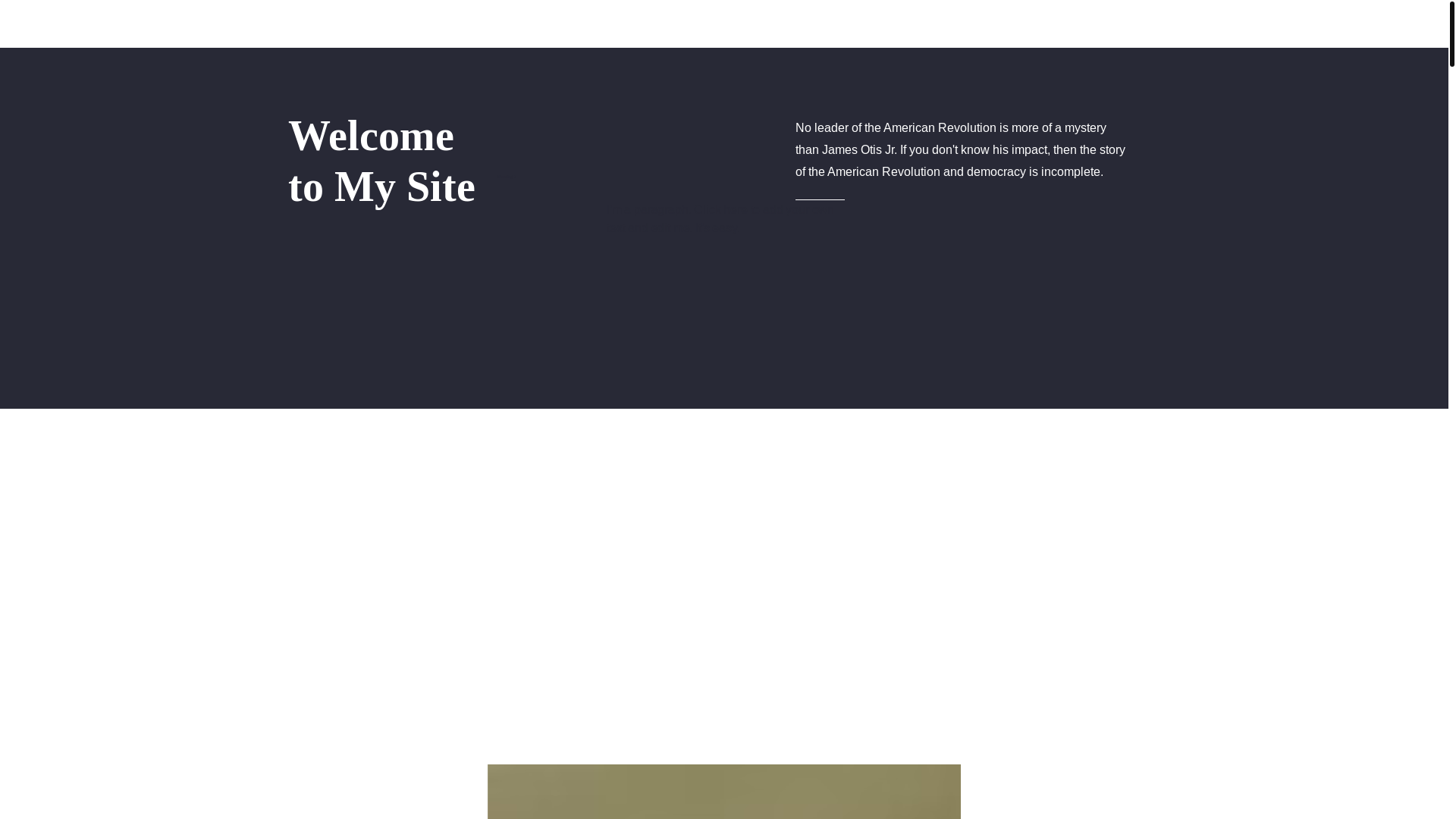 website screenshot of https://unforgettableforgottenpatriot.com/