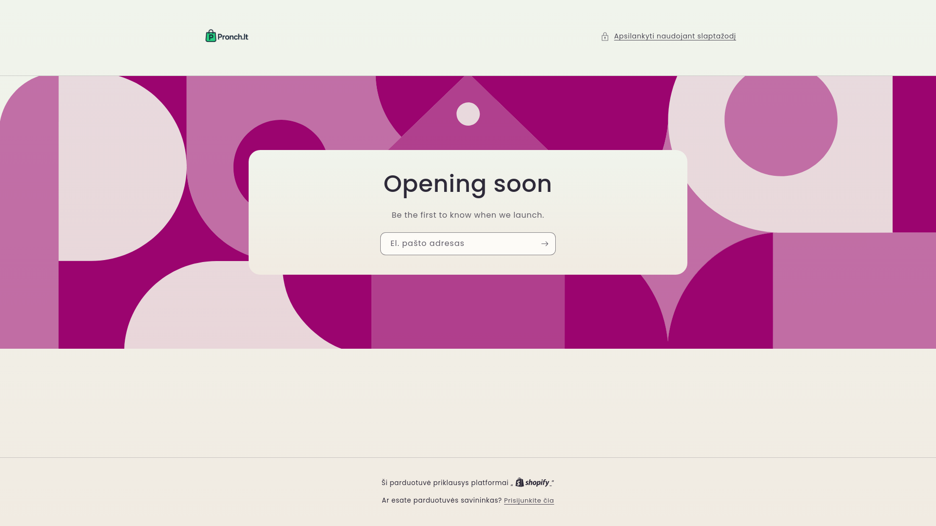 website screenshot of https://pronch.lt/