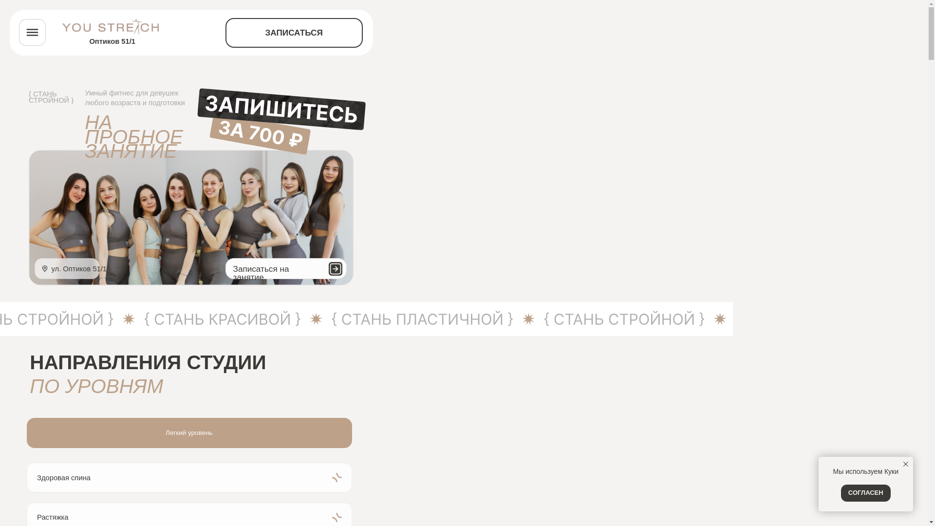 website screenshot of https://youstretchfitness.ru/