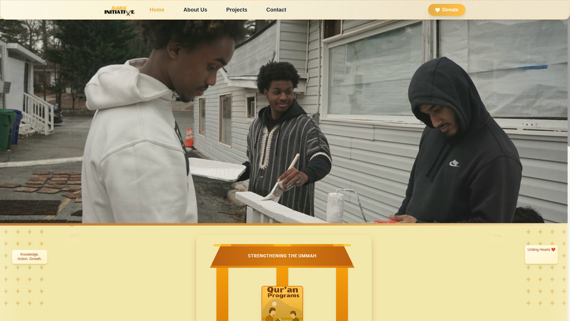 website screenshot of https://darsinitiative.org/