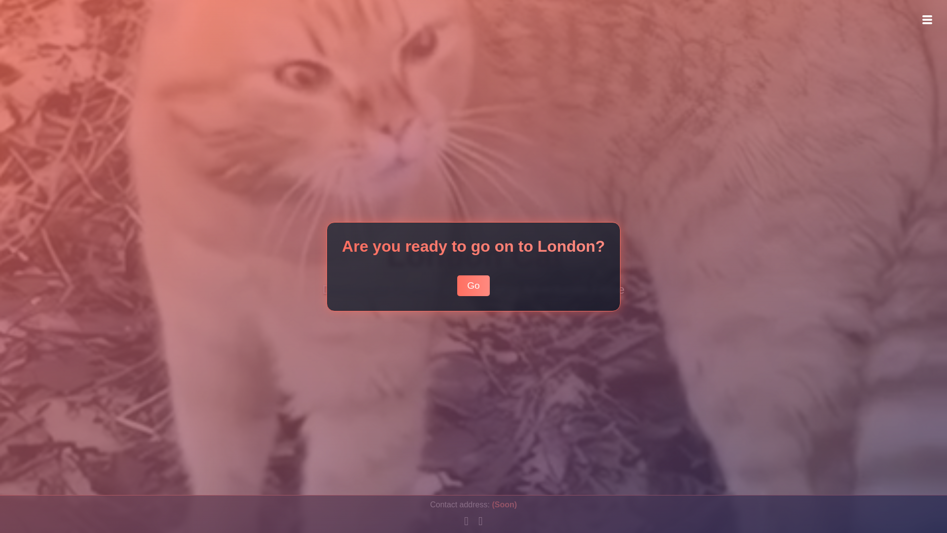 website screenshot of https://londoncat.site/