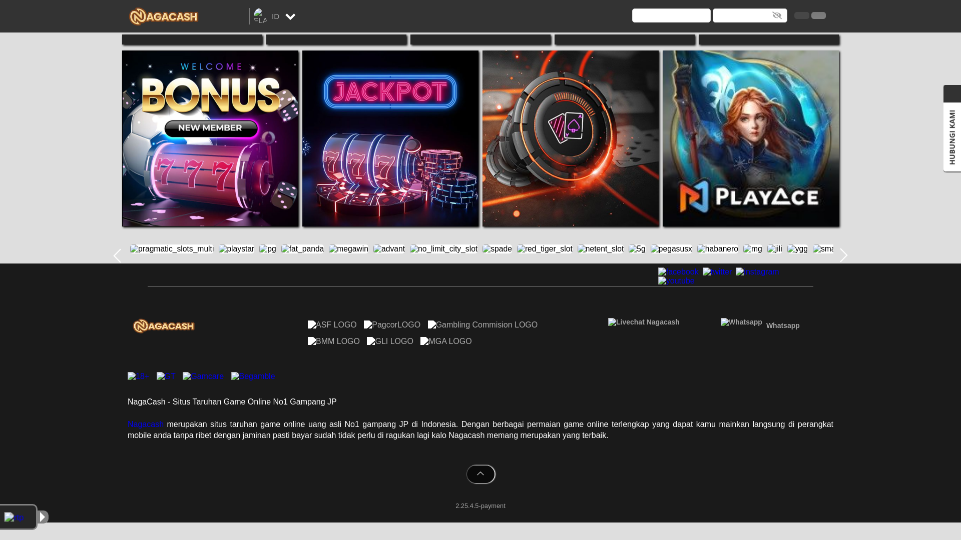 website screenshot of https://nagacash9c.yachts/
