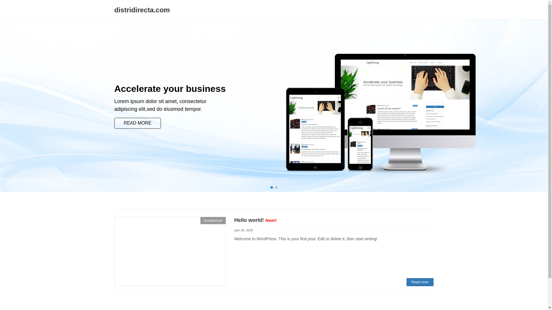 website screenshot of https://distridirecta.com/