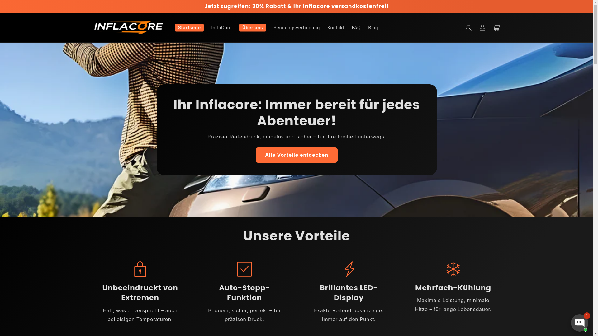 website screenshot of https://inflacore.online/