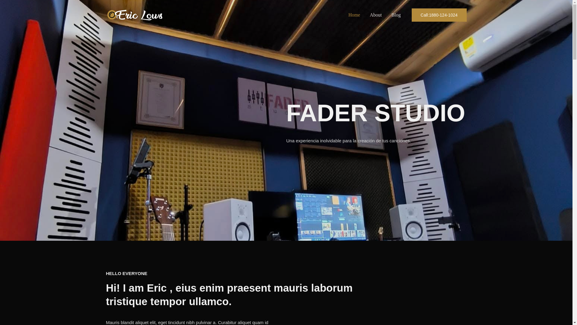 website screenshot of https://faderstudio.online/