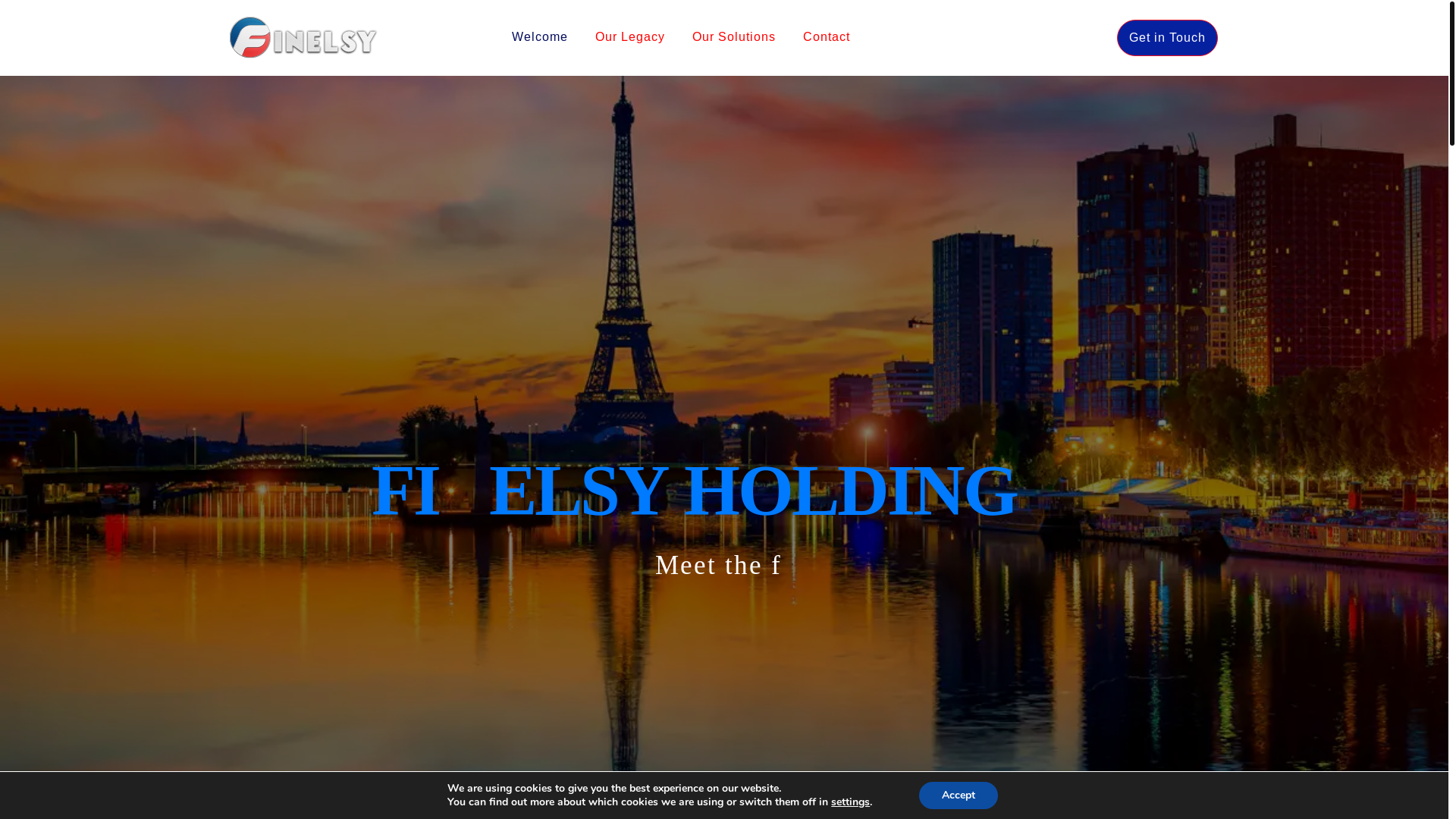website screenshot of https://finelsyholding.com/
