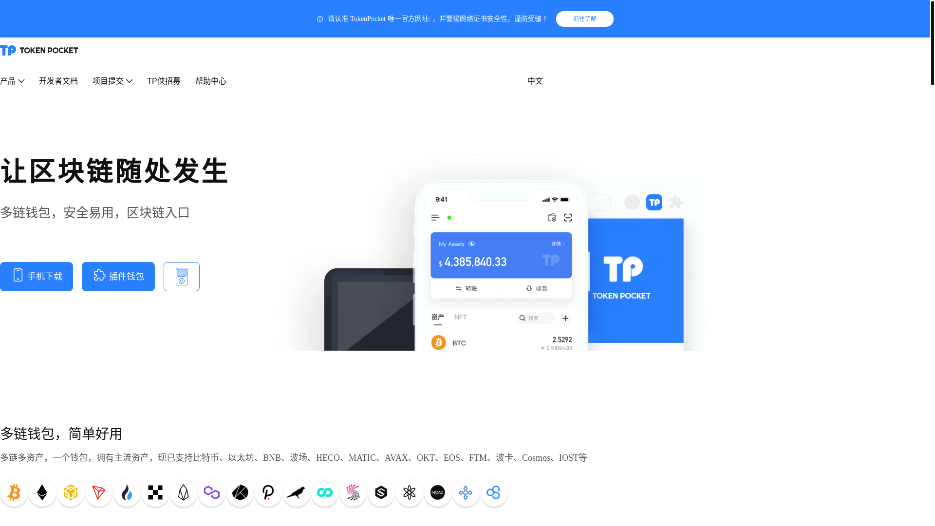 website screenshot of https://tokenpofcket.top/