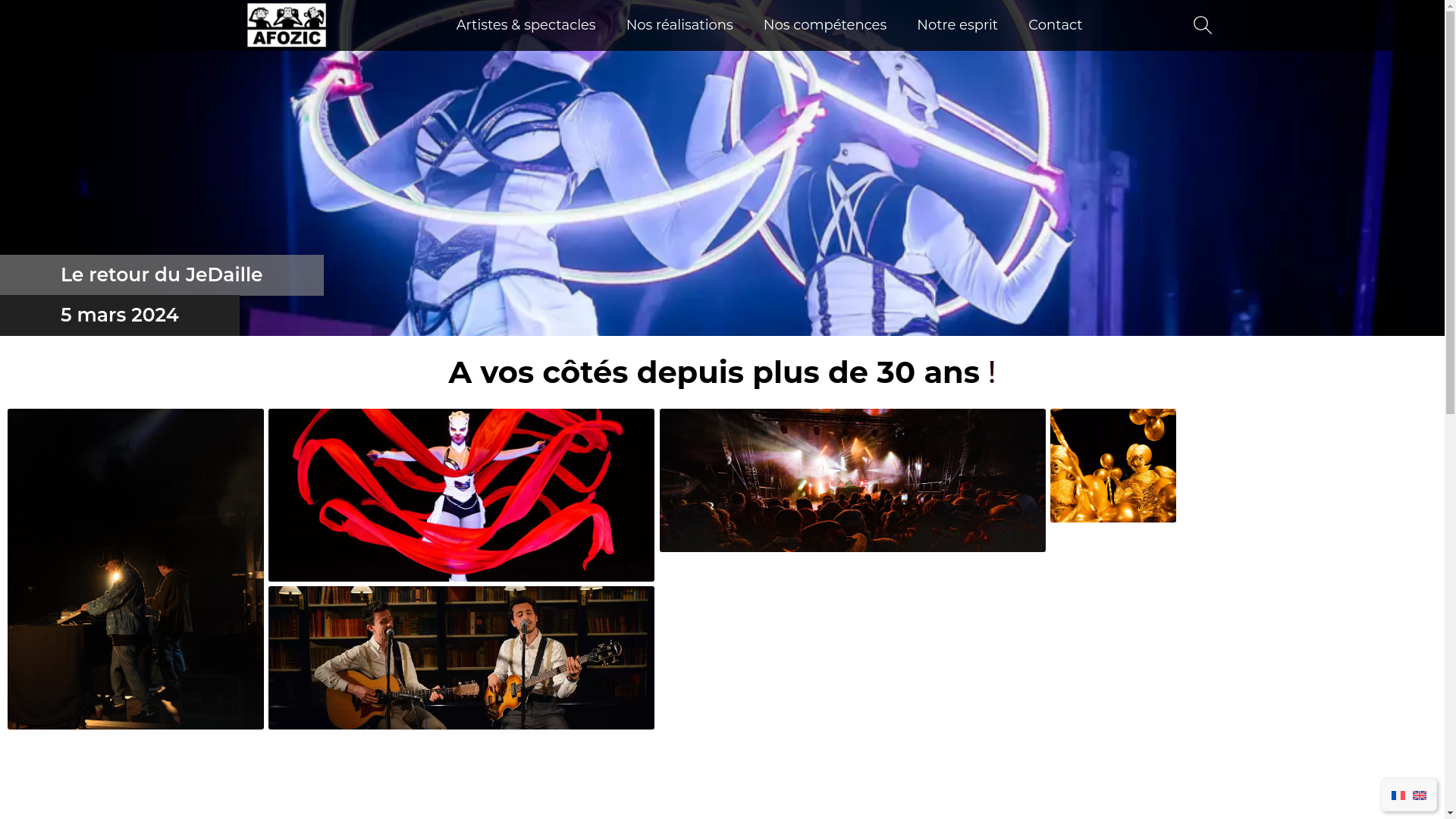 website screenshot of https://afozic.com