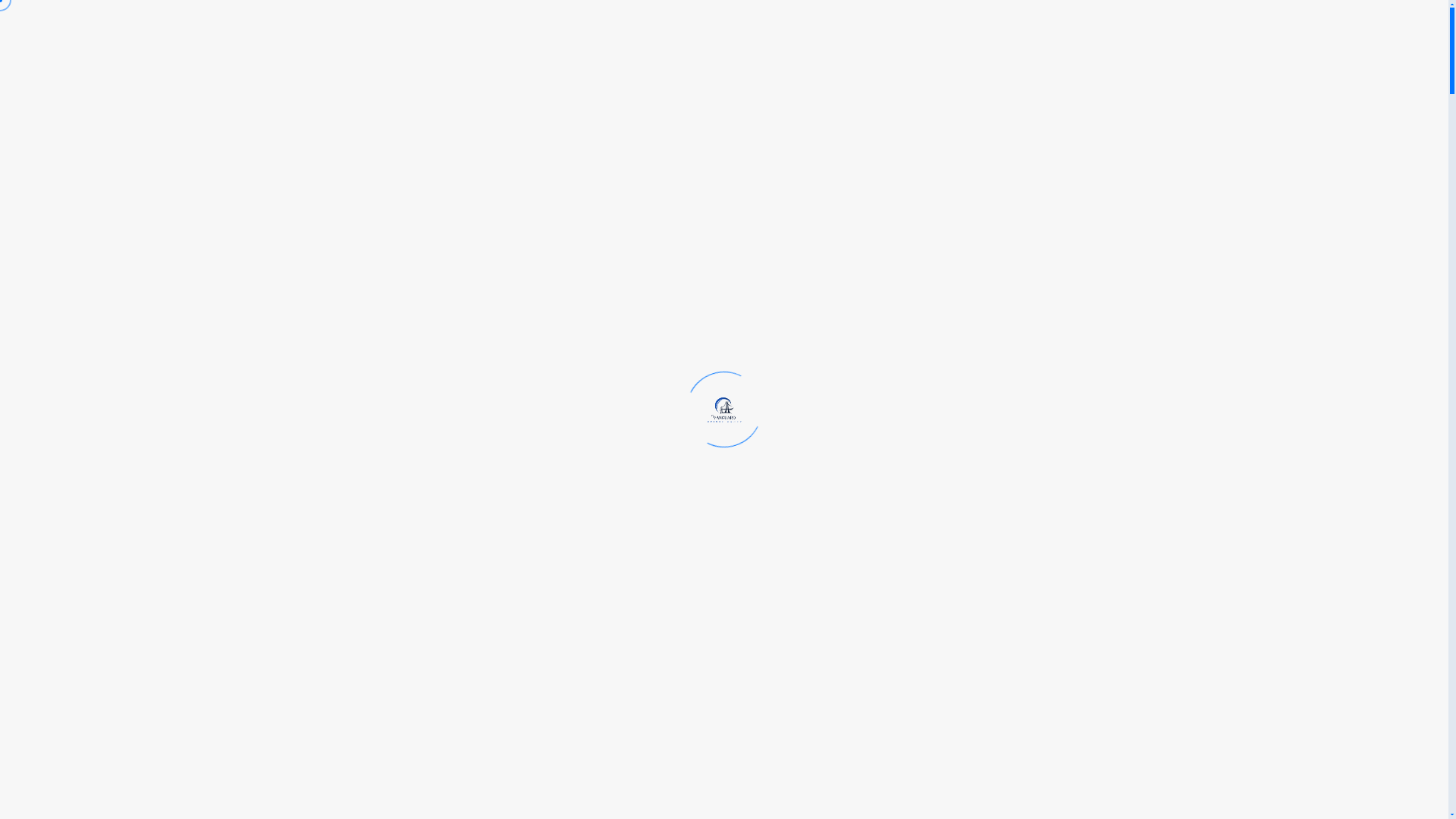 website screenshot of https://vanguardbridgegroup.com/