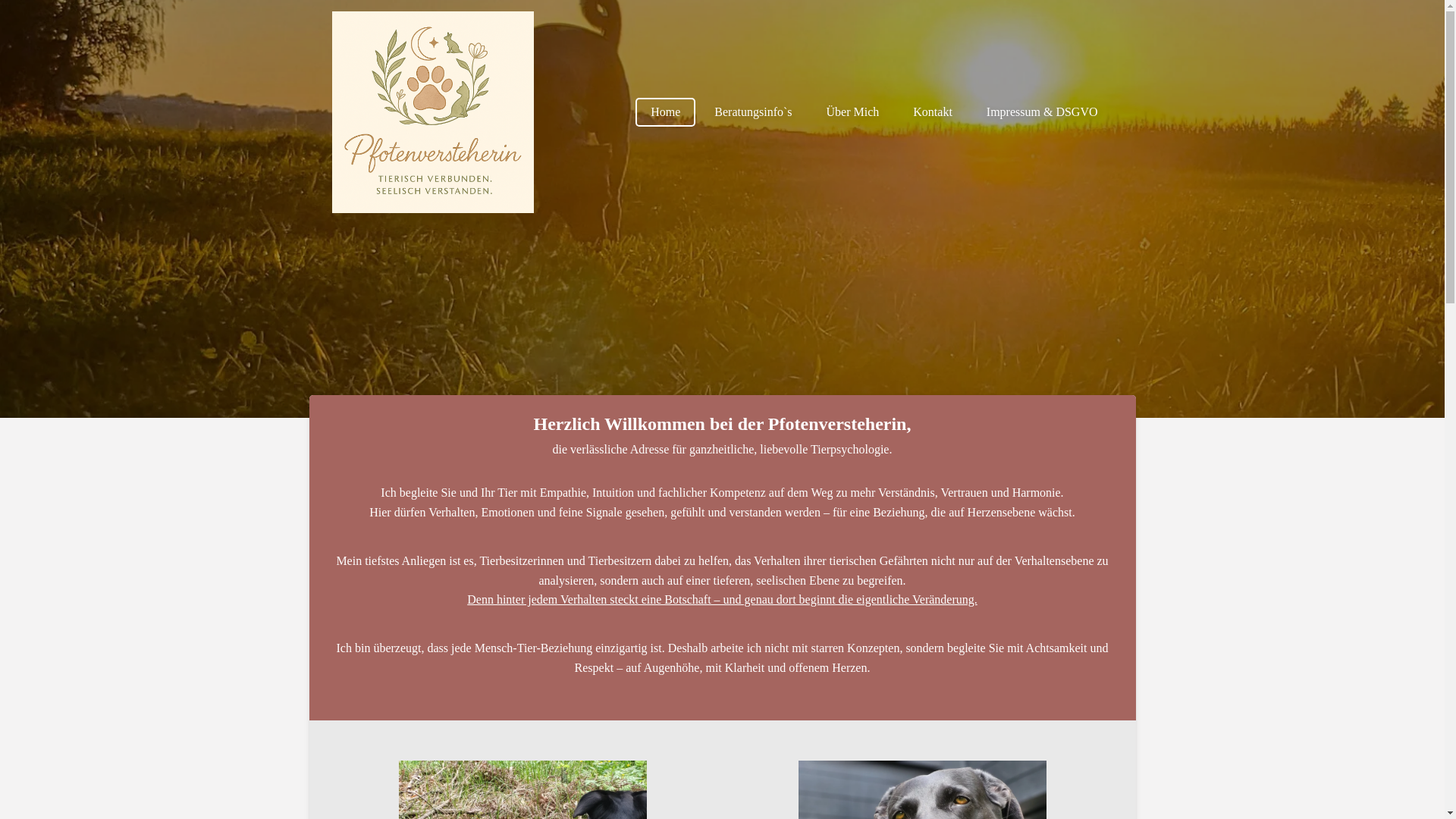 website screenshot of https://pfotenversteherin.com/
