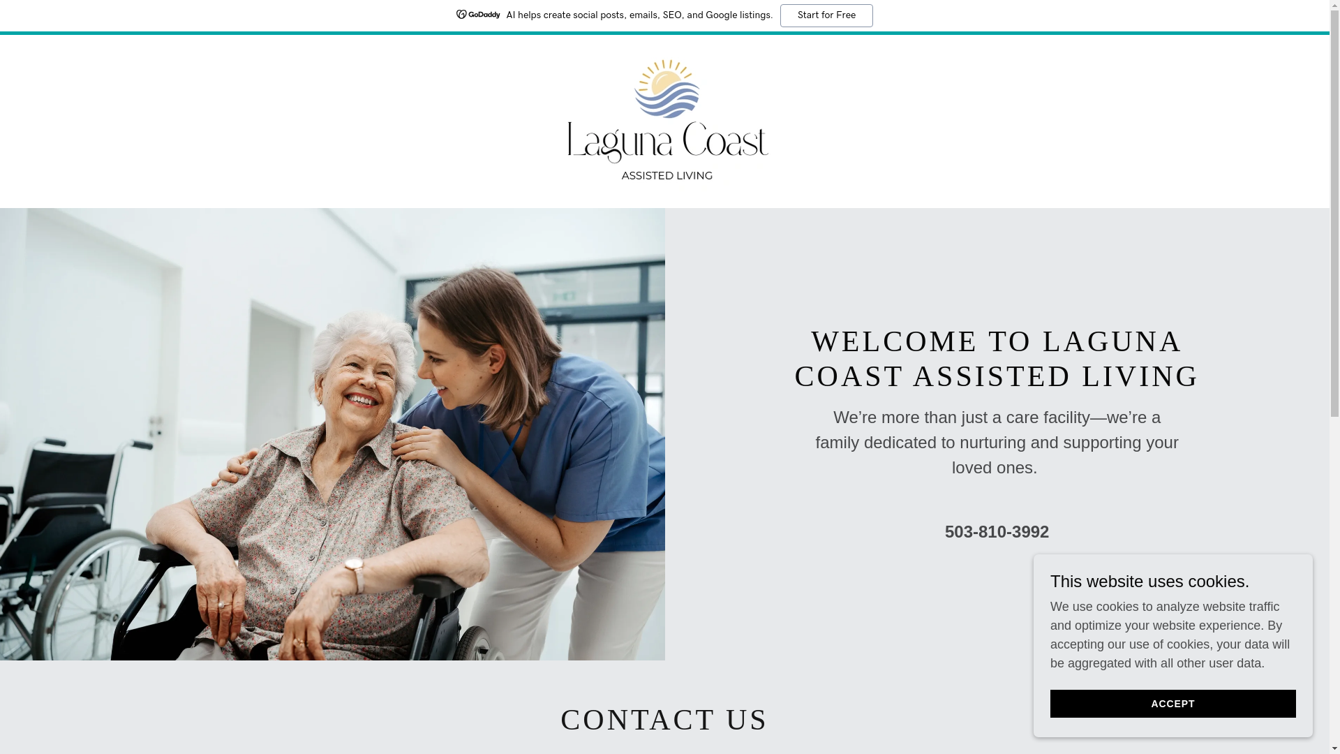 website screenshot of https://lagunacoastliving.care/