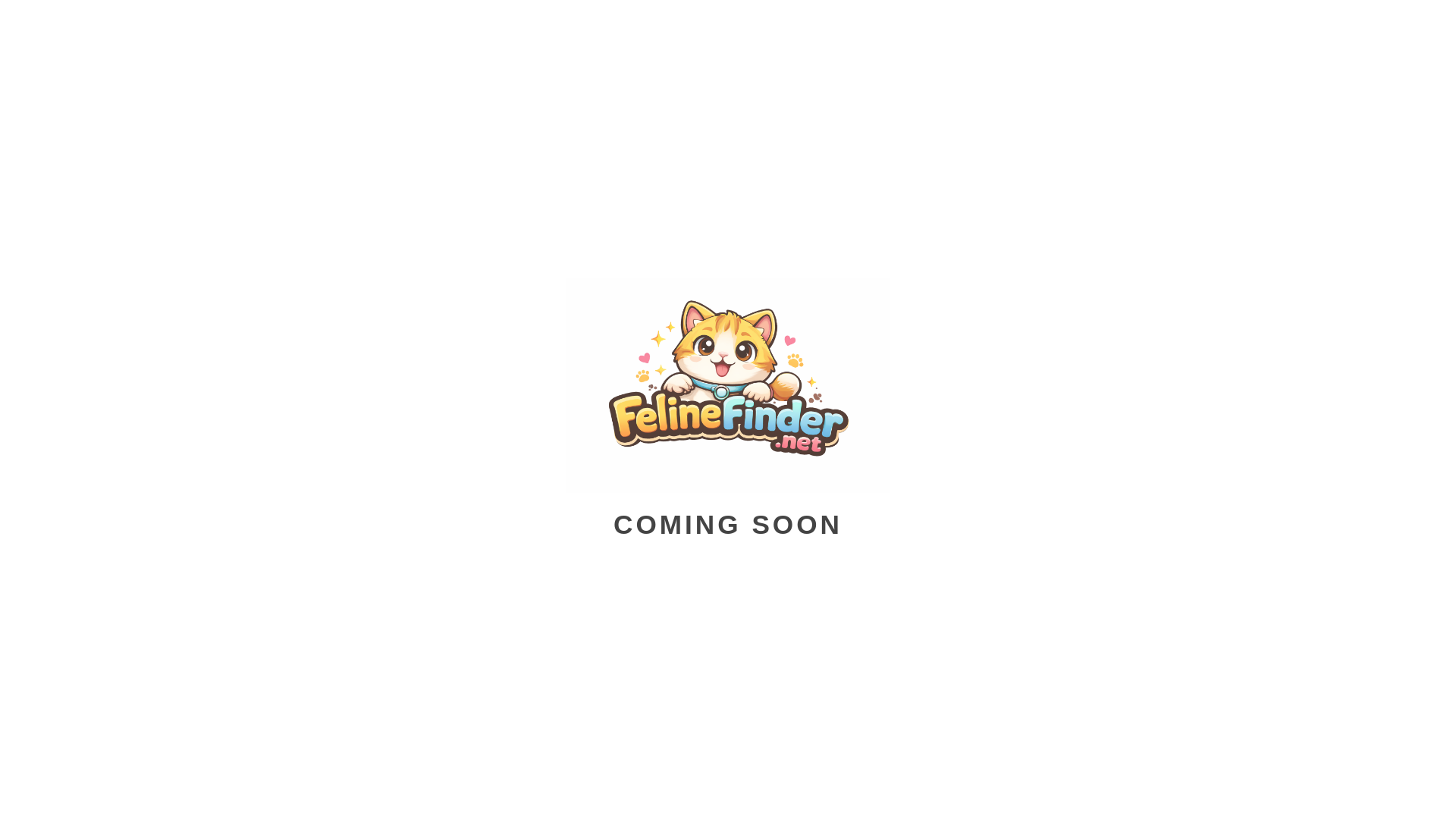 website screenshot of https://felinefinder.net/
