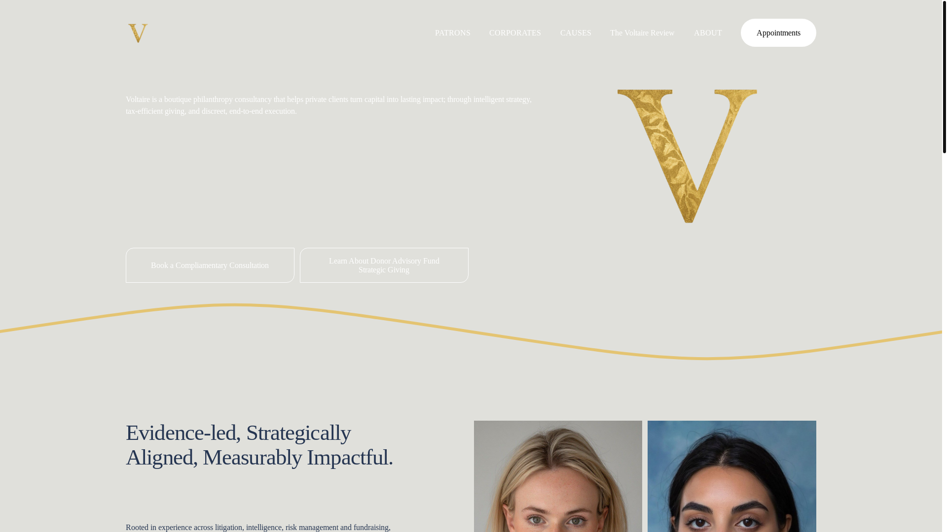 website screenshot of https://voltairephilanthropy.co.uk/