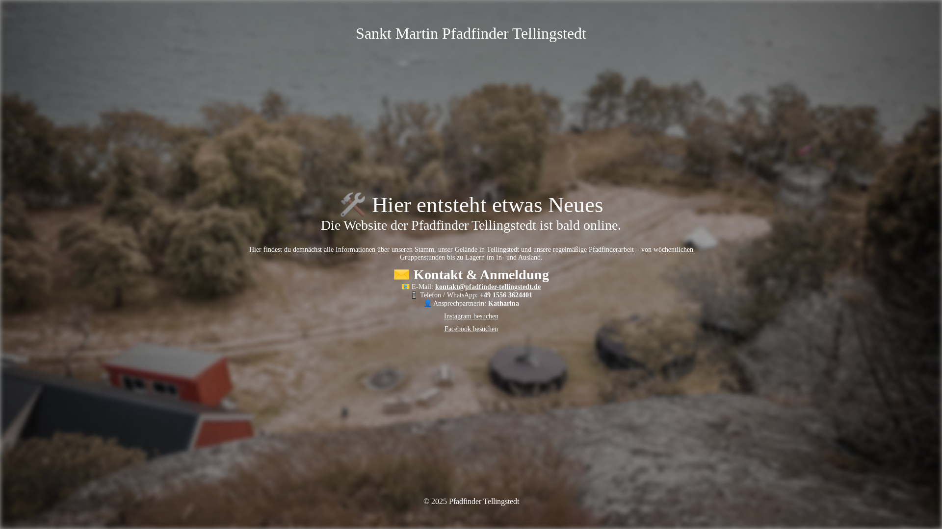 website screenshot of https://pfadfinder-tellingstedt.de/