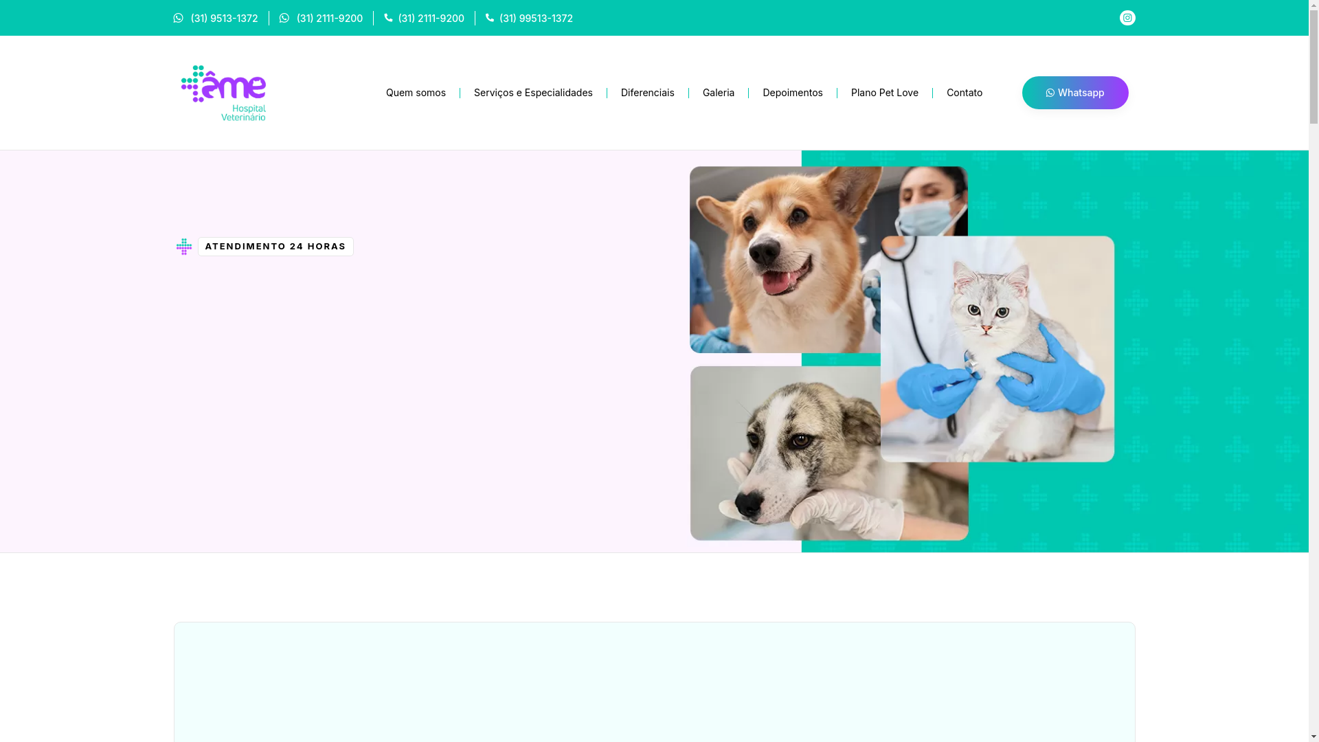 website screenshot of https://clinicavetame.com.br/