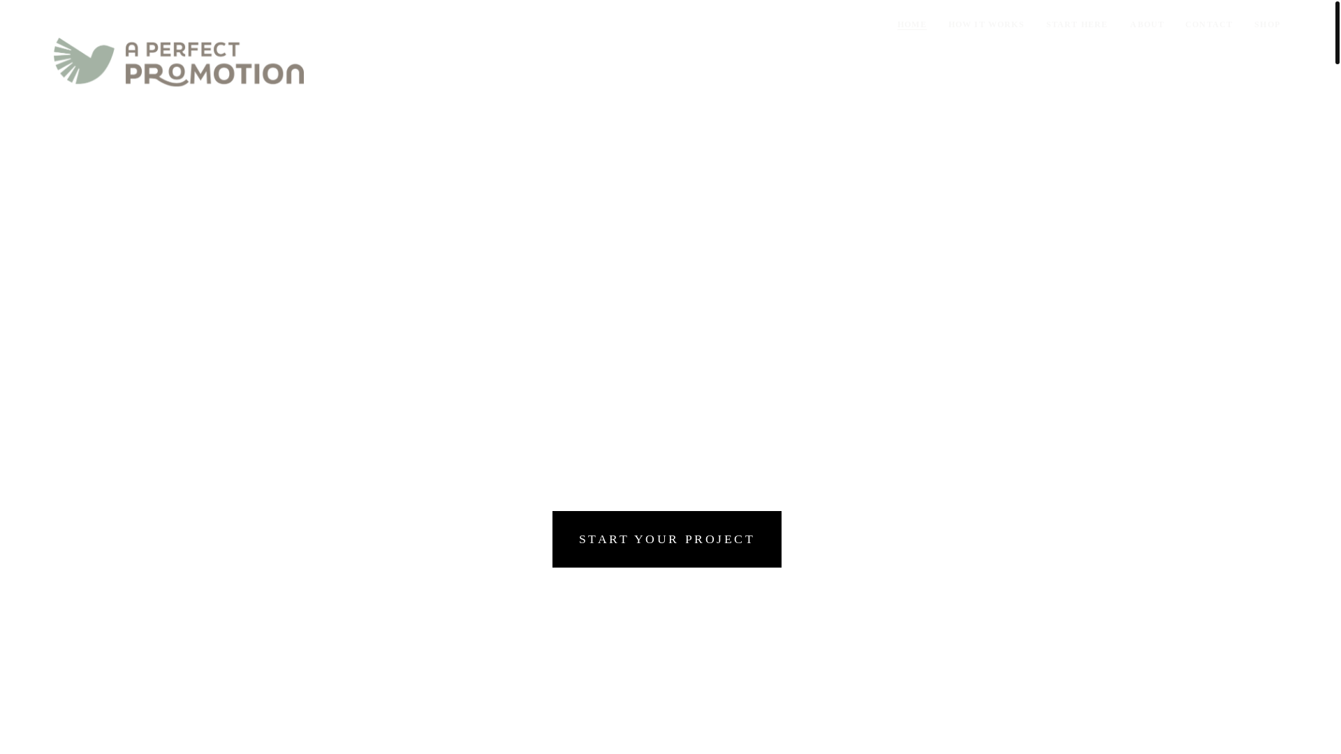 website screenshot of https://goaperfectpromotionnow.com/