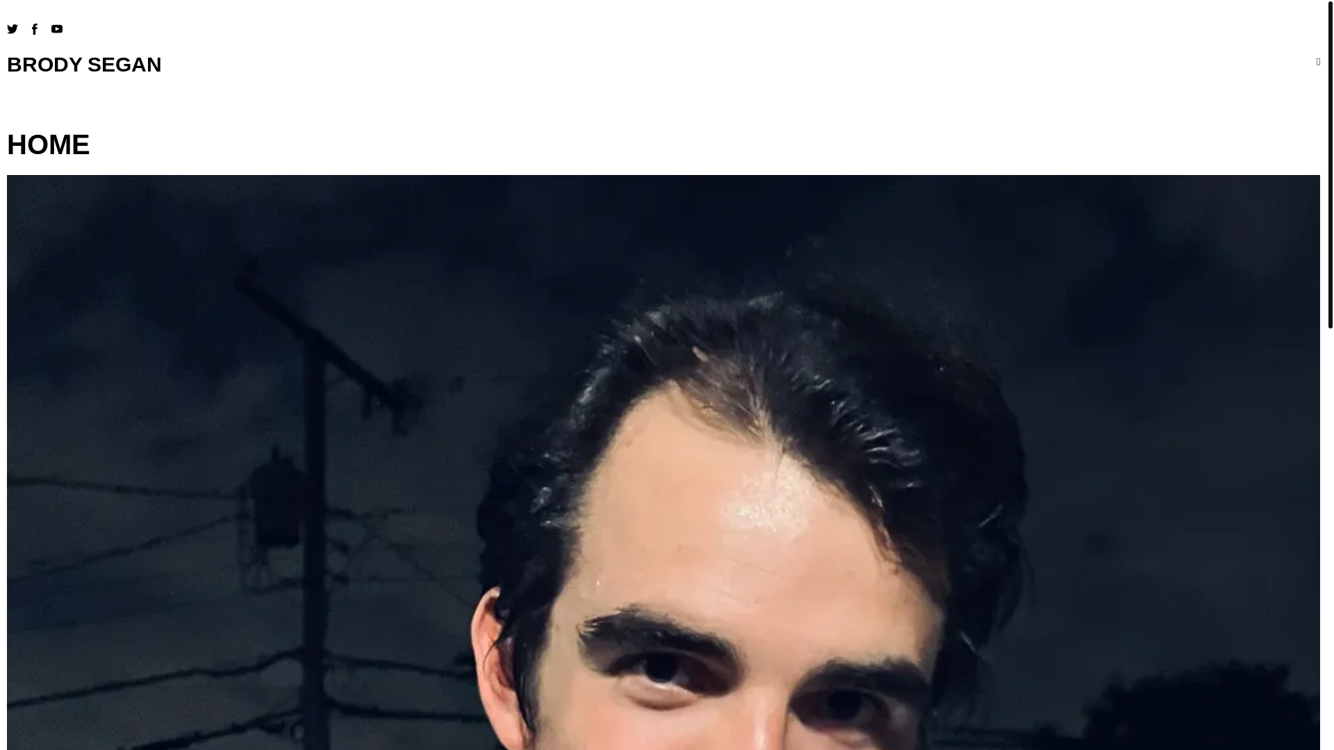 website screenshot of https://brodysegan.com/
