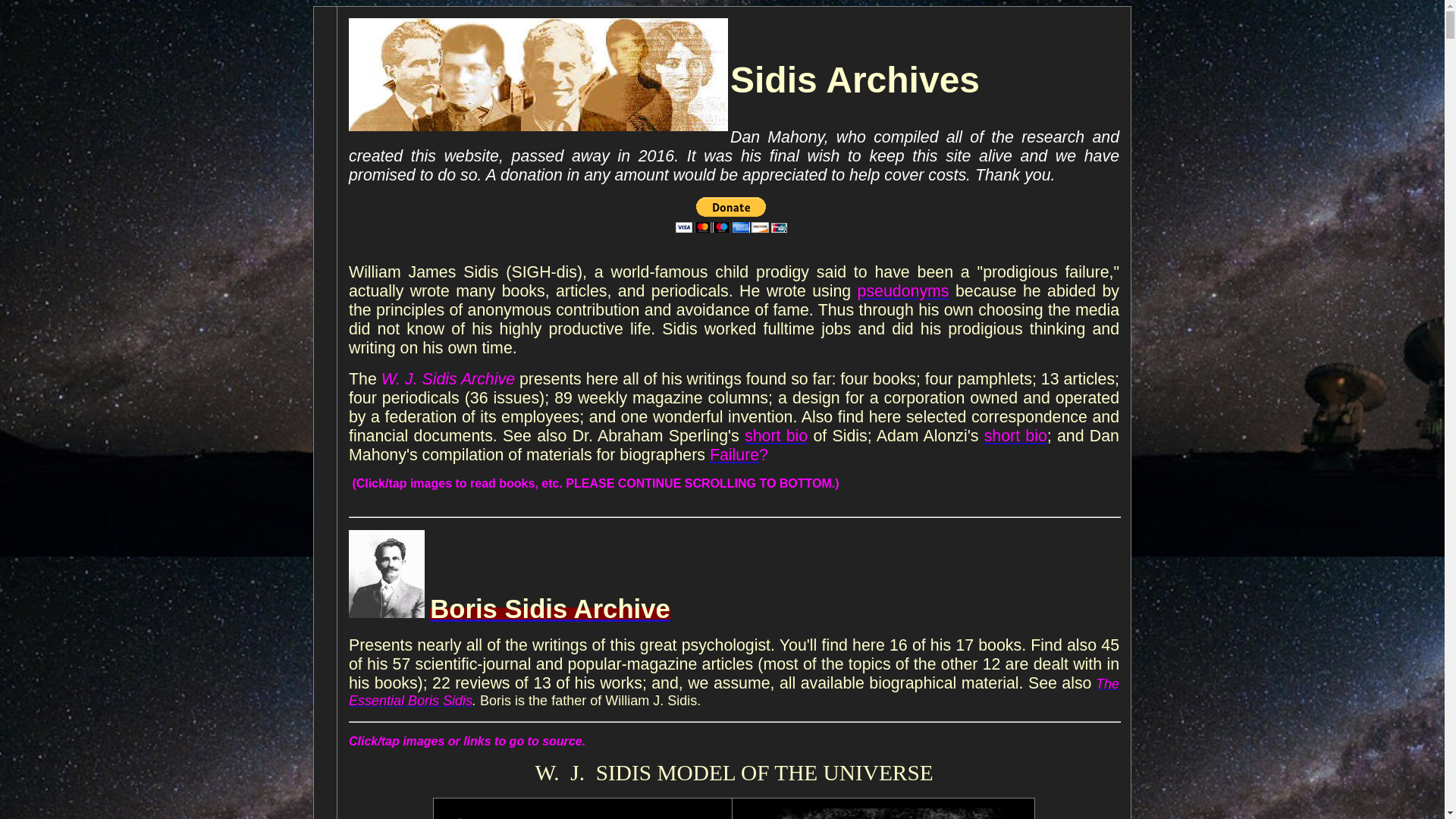 website screenshot of https://www.sidis.net/