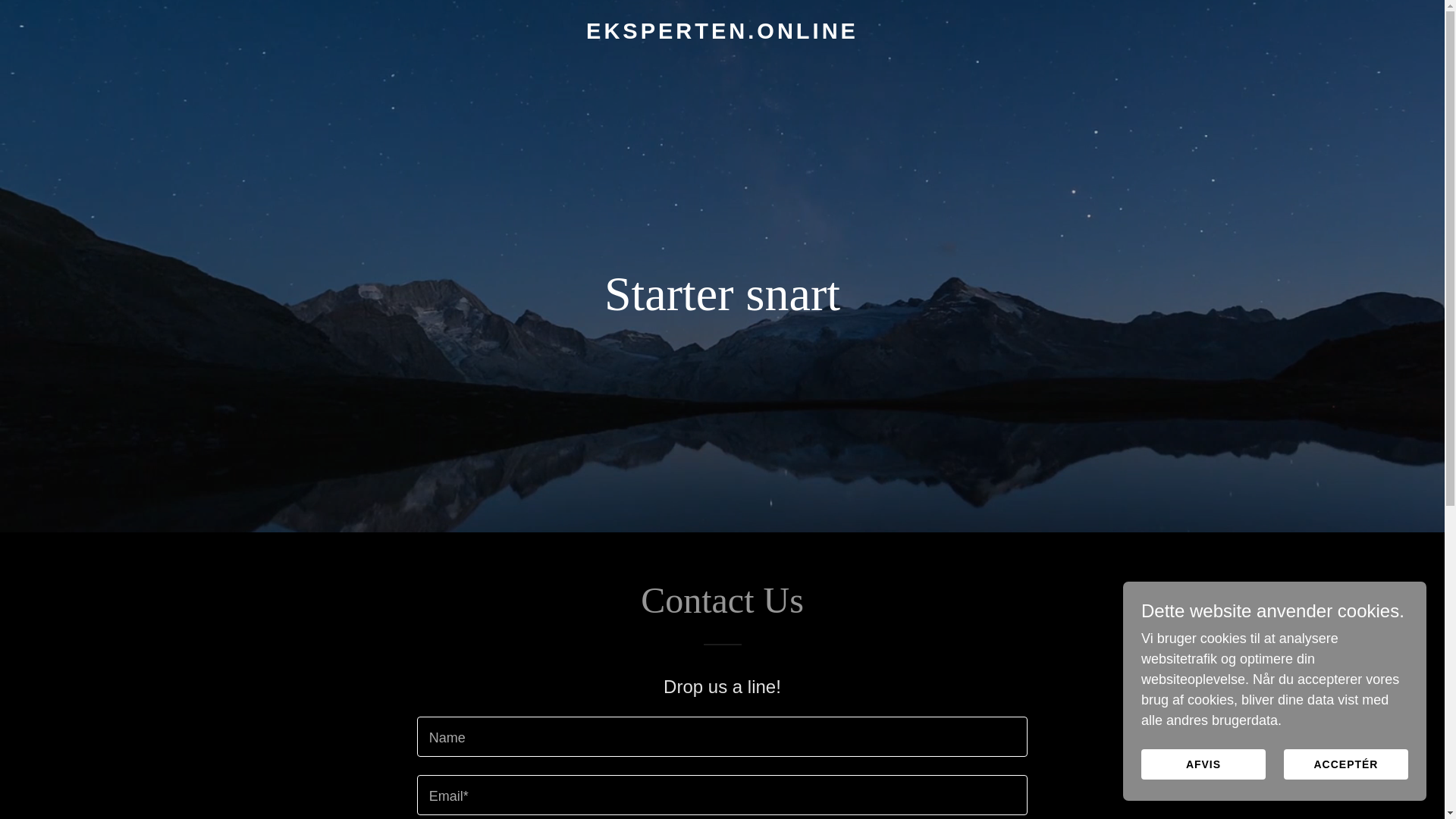 website screenshot of https://eksperten.online/