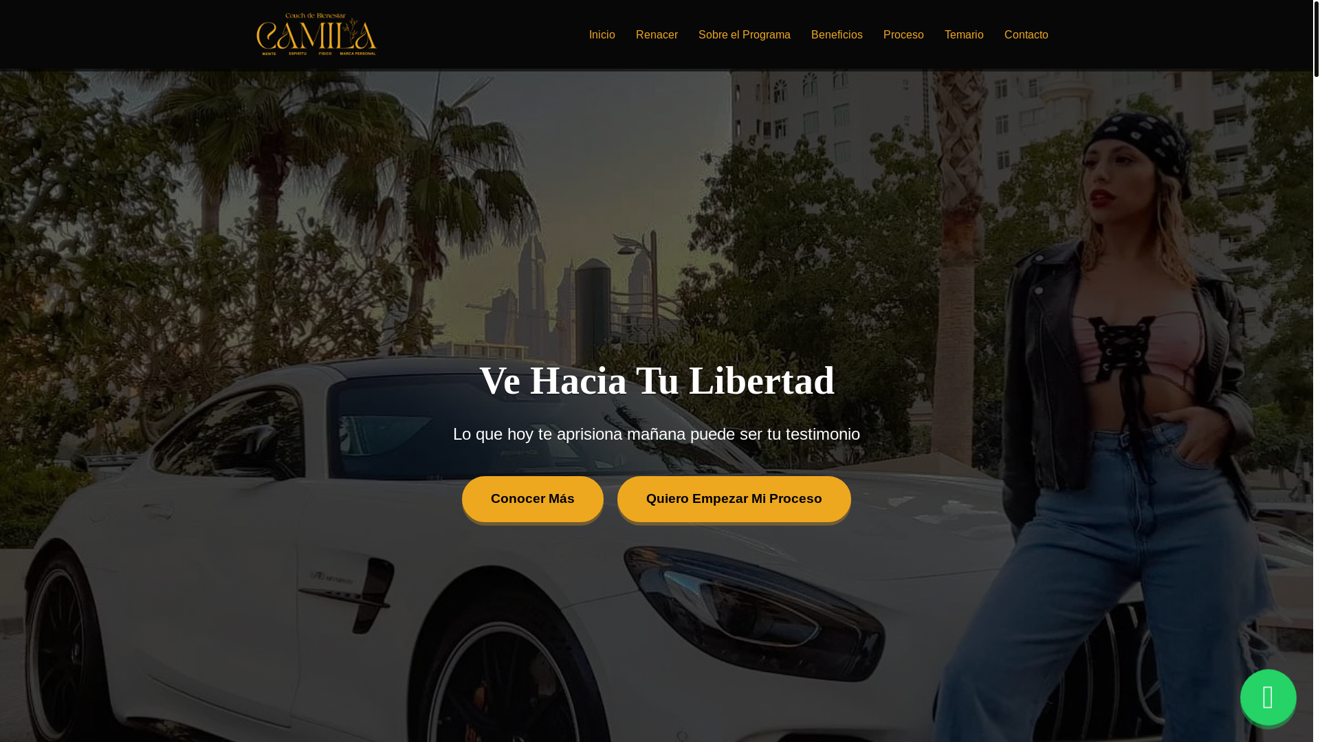 website screenshot of https://camilabalsante.com/