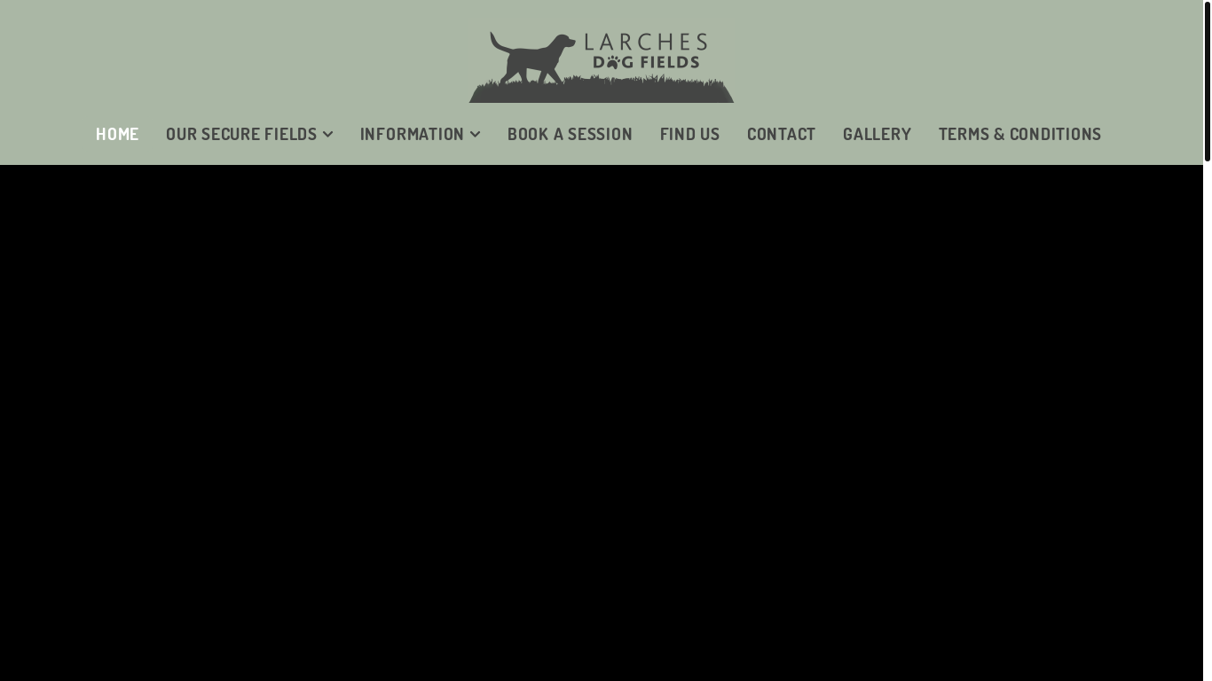 website screenshot of https://larchesdogfields.co.uk/