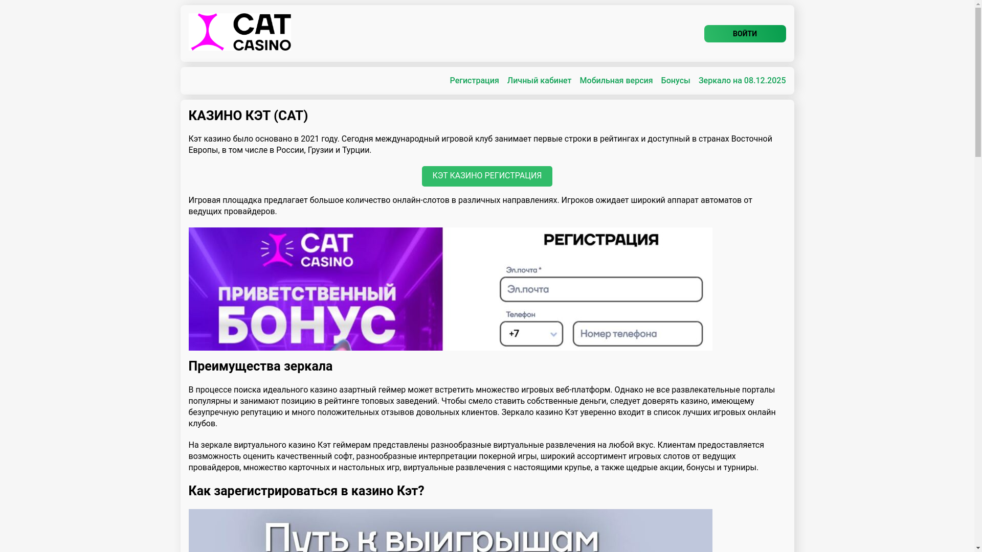 website screenshot of https://catcasino-pdk.top/