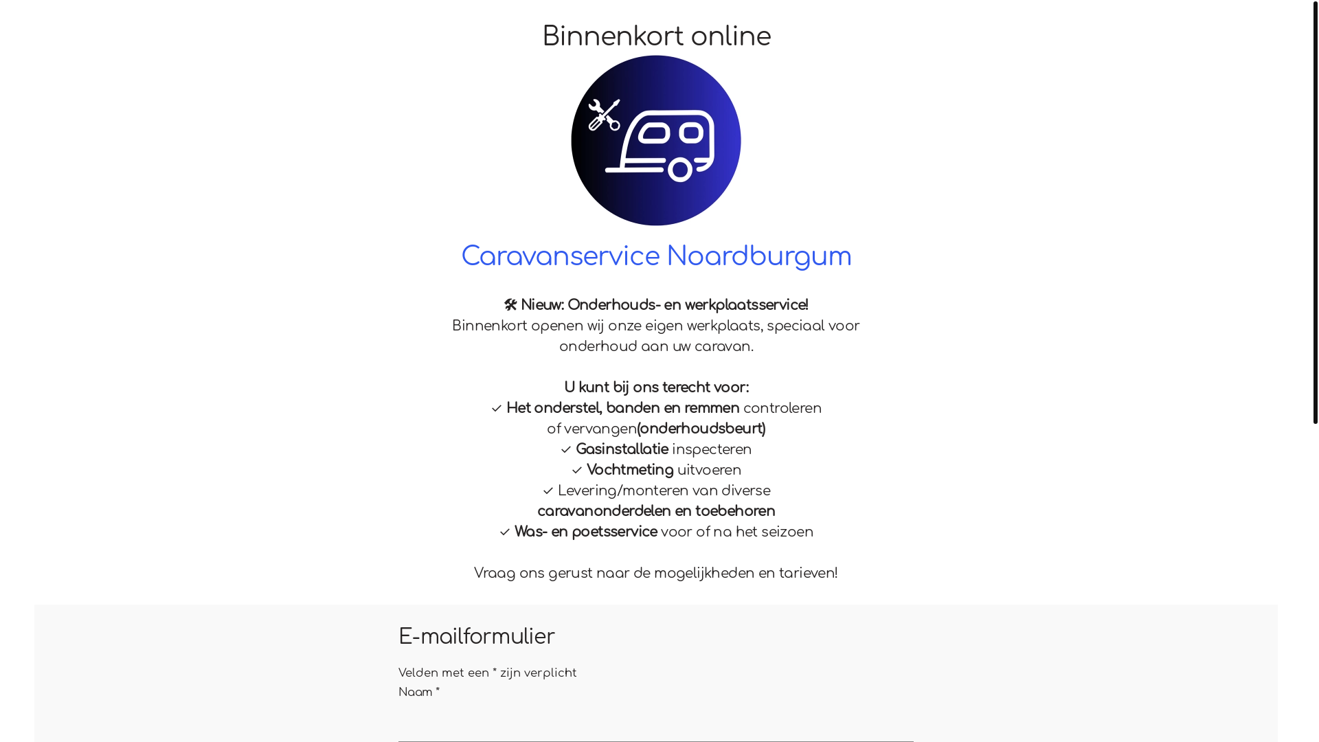website screenshot of https://caravanservicenoardburgum.nl/