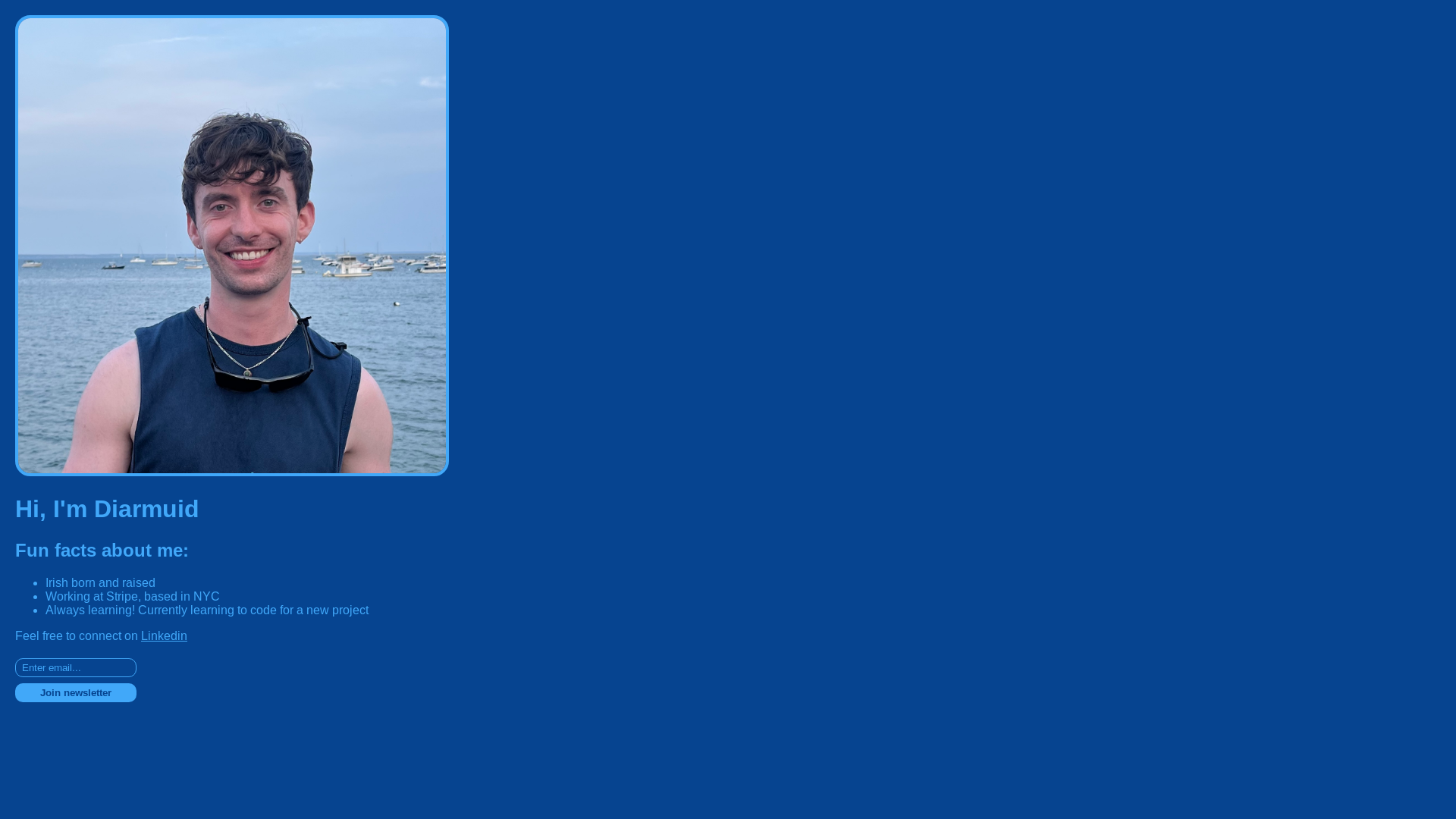website screenshot of https://diarmuidnorth.com/