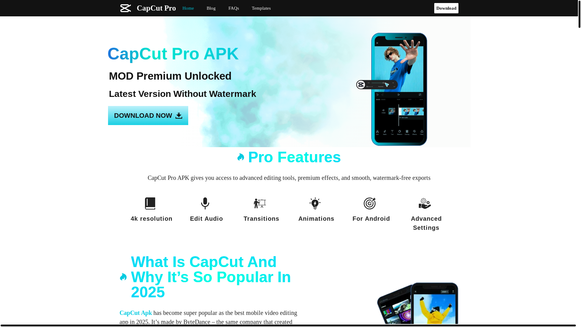 website screenshot of https://cepcutapk.net/