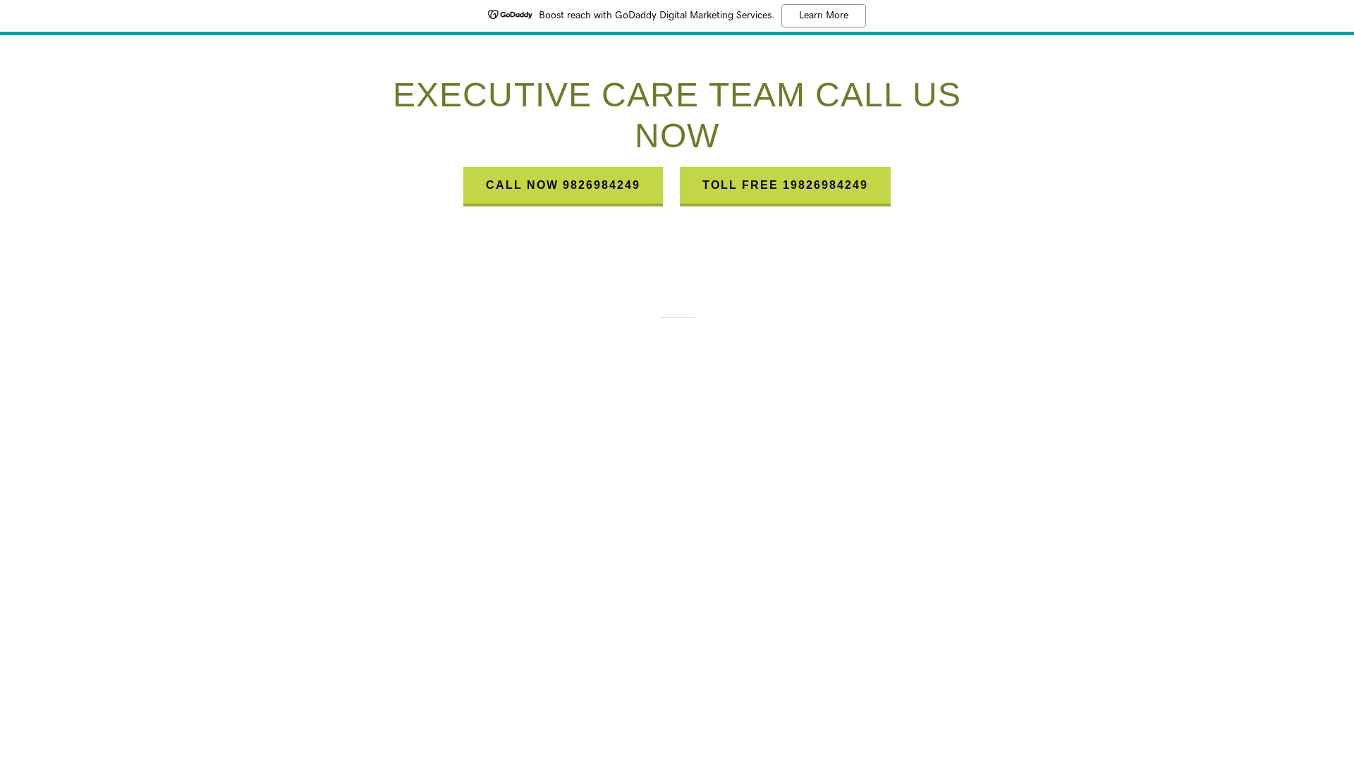 website screenshot of https://luxelusha.in/