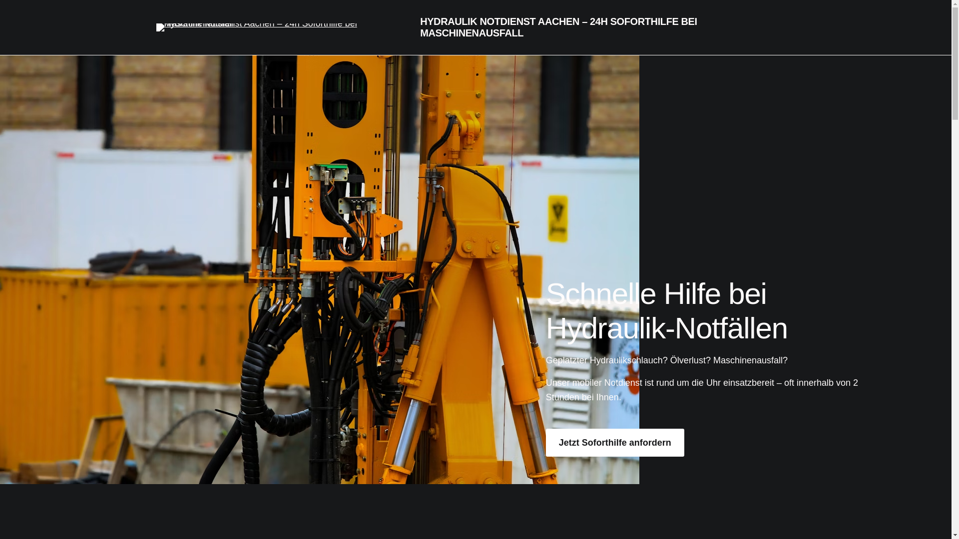 website screenshot of https://hassler-industrial.de/