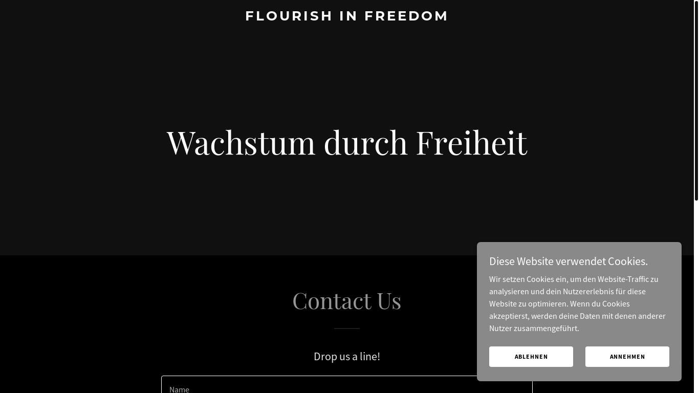 website screenshot of https://flourishin-freedom.com/