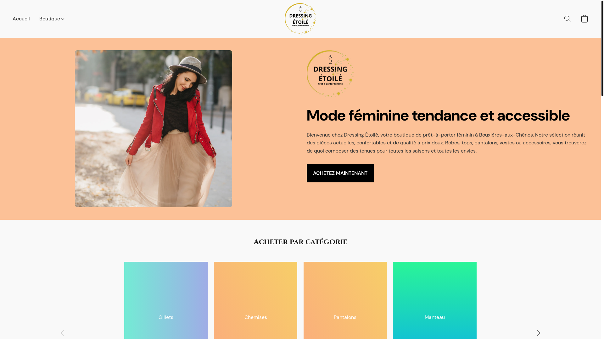 website screenshot of https://dressingetoile.fr/