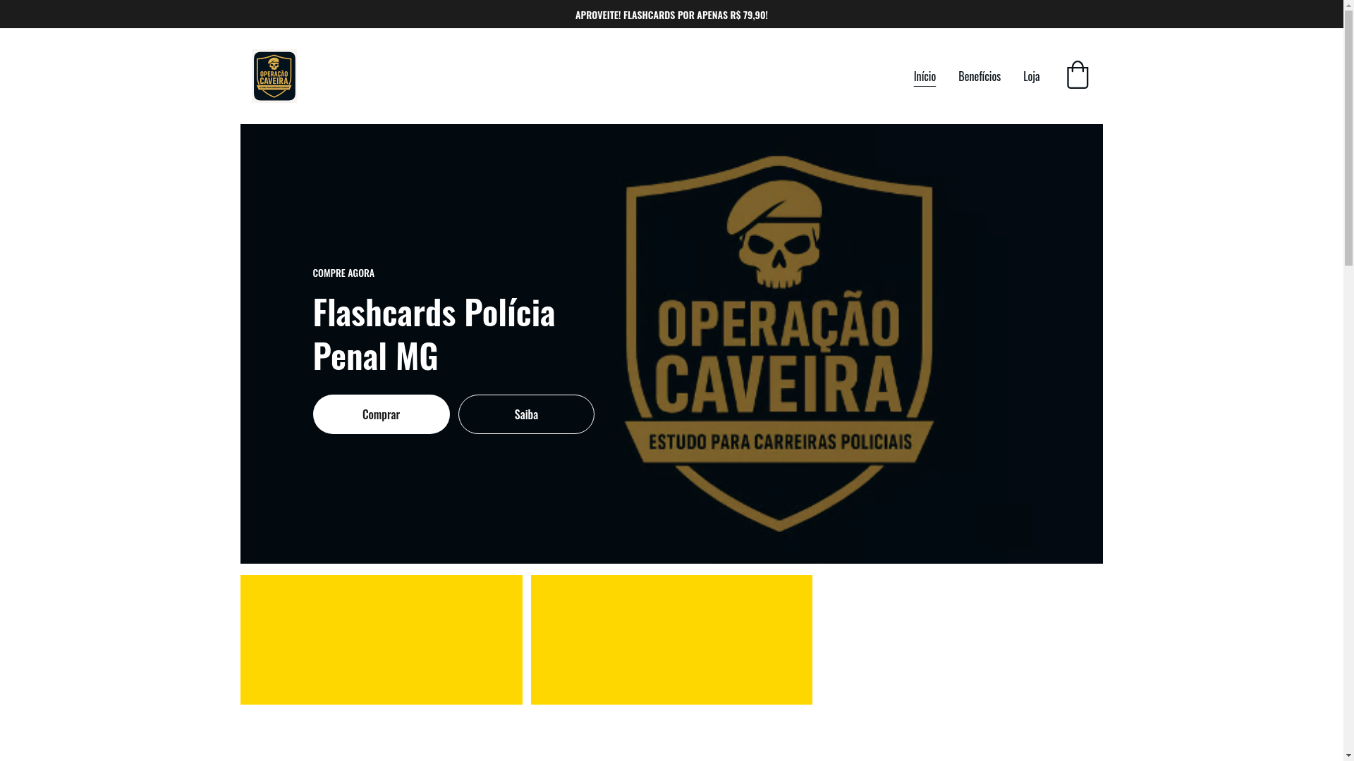 website screenshot of https://flashcardspoliciapenalmg.com/