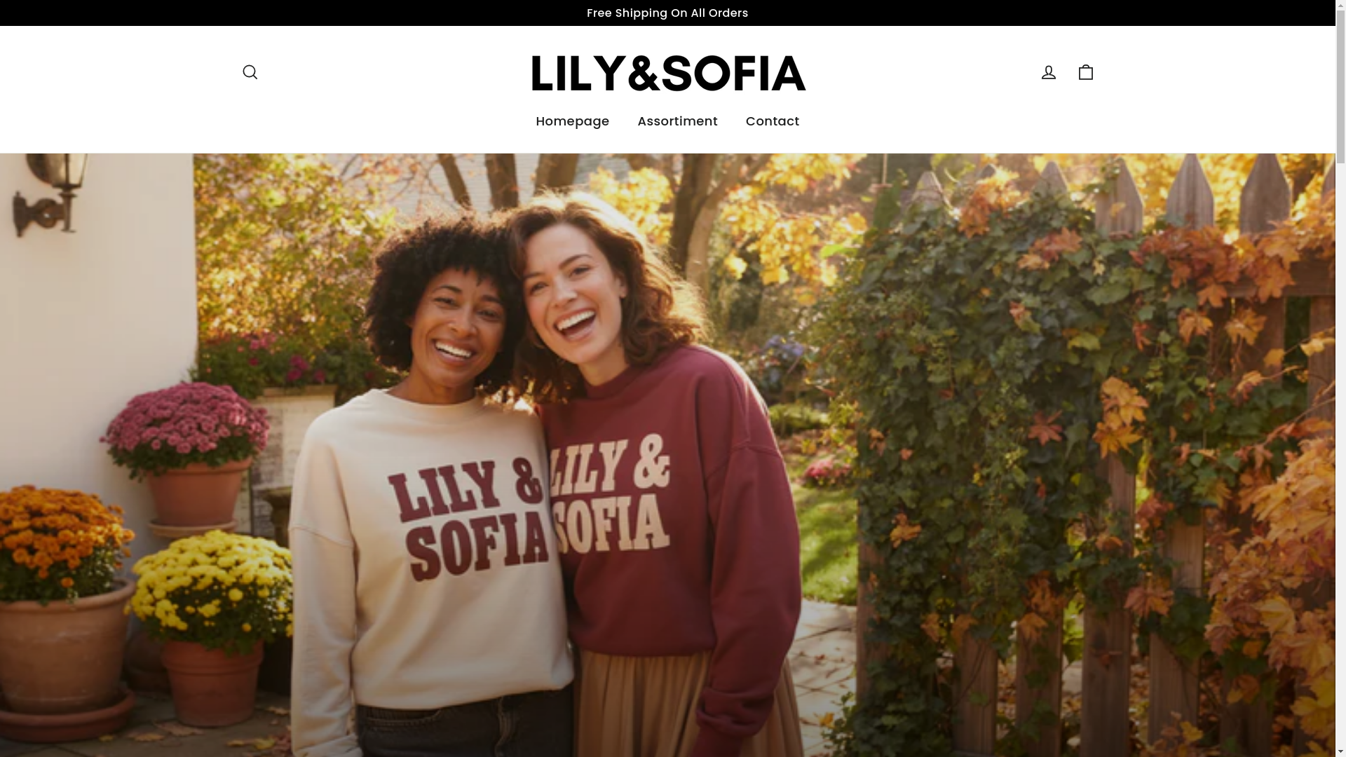 website screenshot of https://lilyandsofia.com/