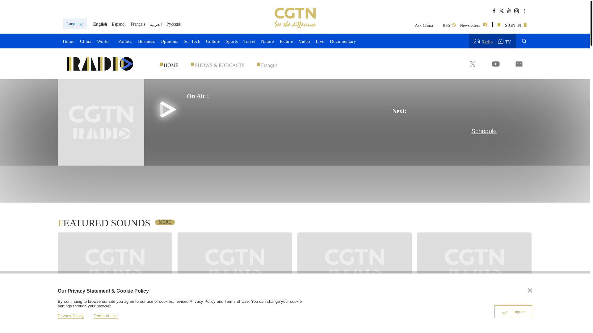 website screenshot of https://cri.cn/