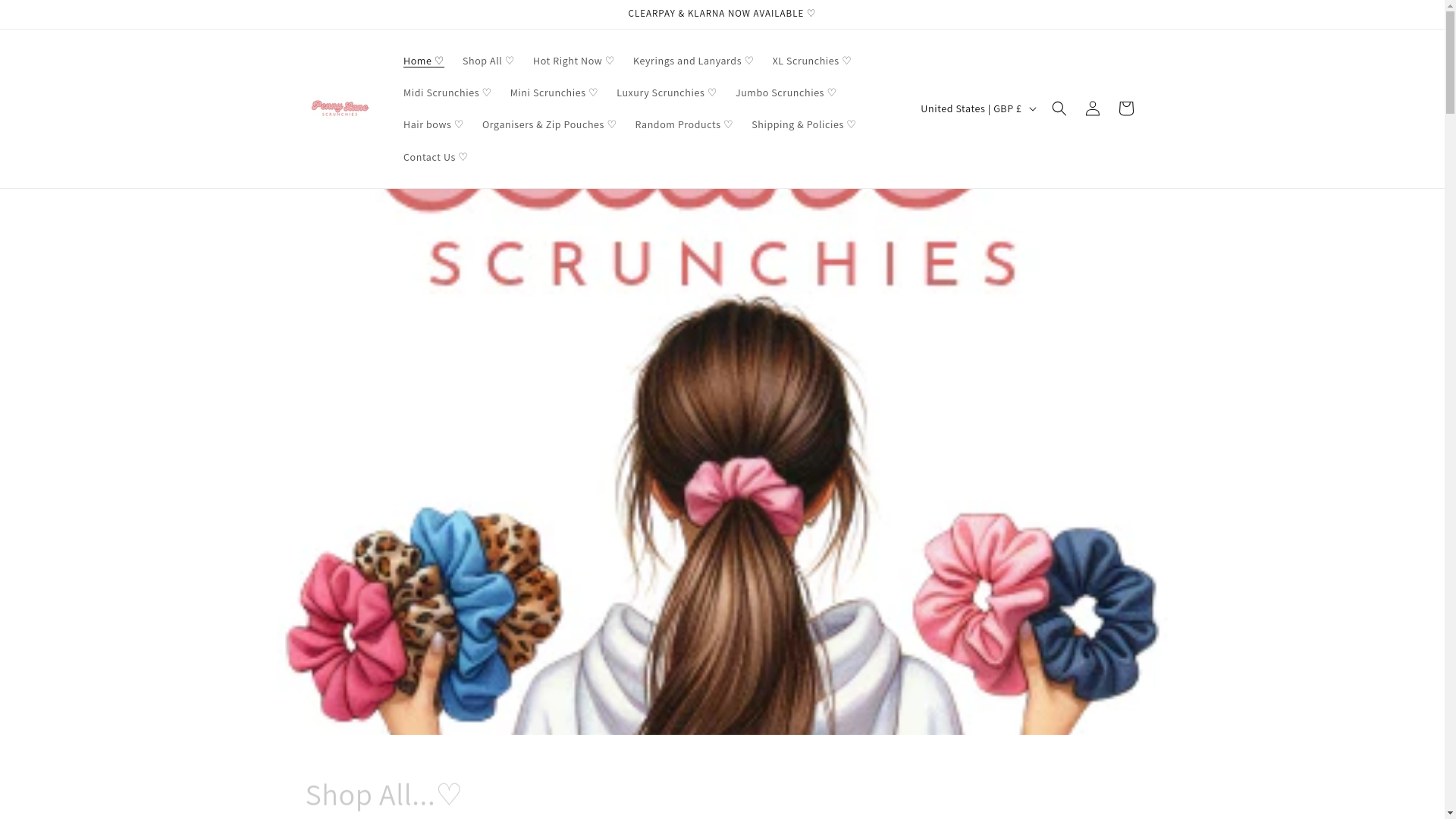 website screenshot of https://pennyandol.com/