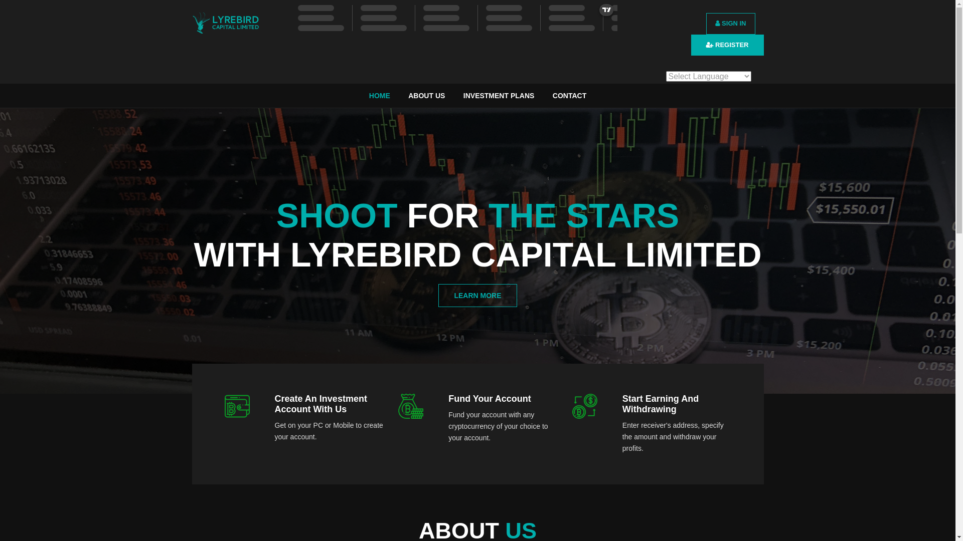 website screenshot of https://lyrebirdcap.com/