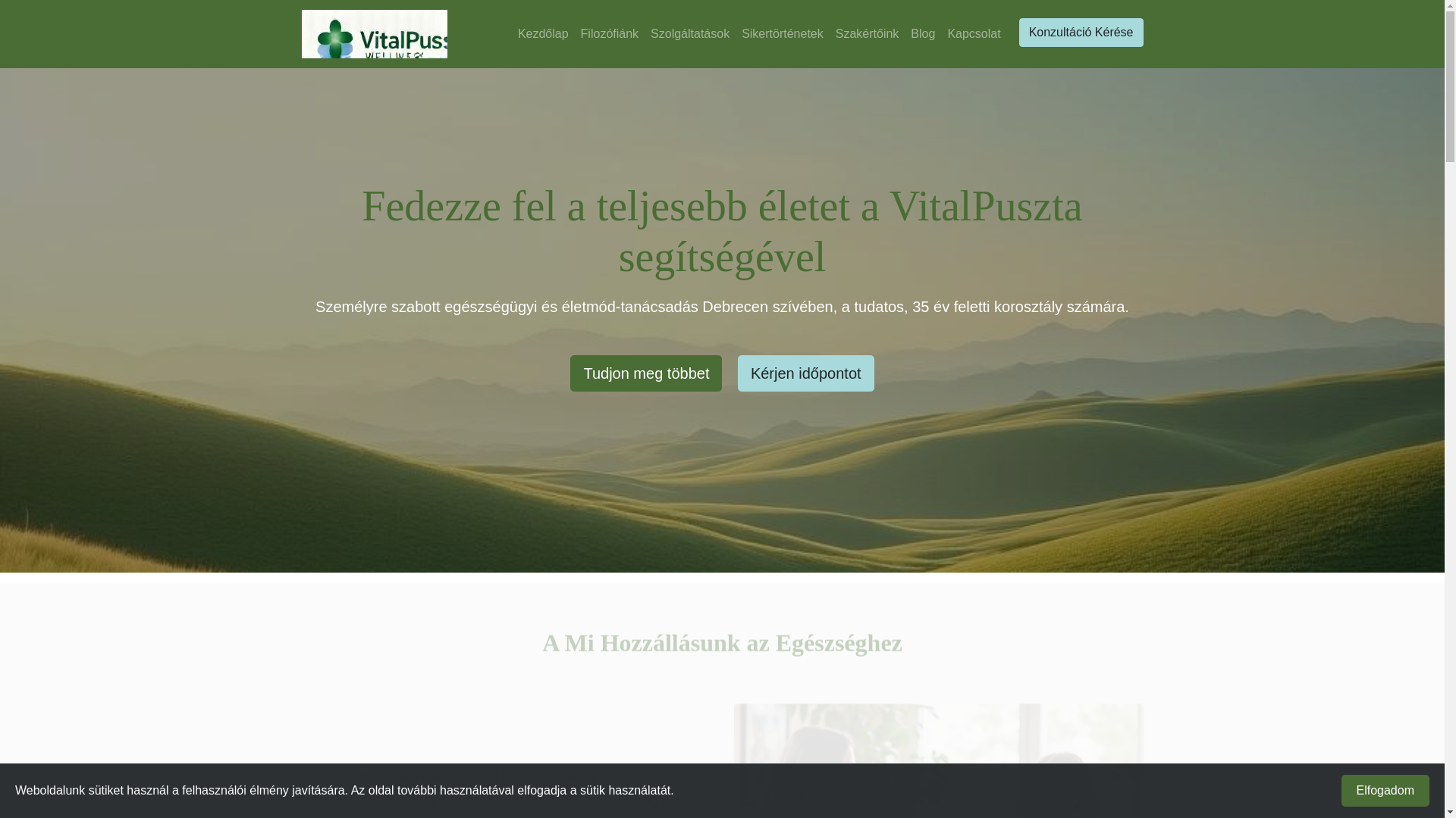 website screenshot of https://fiteletu.info/