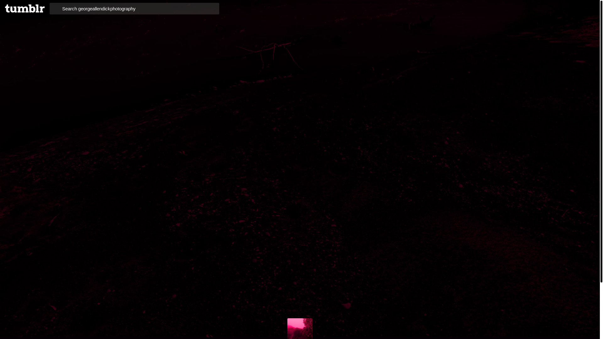 website screenshot of https://georgeallendickphotography.blog/