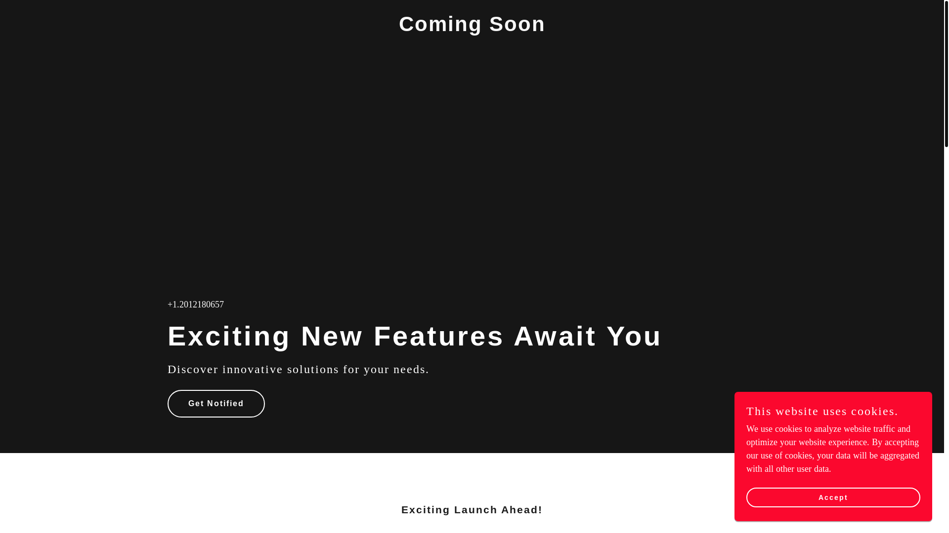 website screenshot of https://southernfriedlies.com/