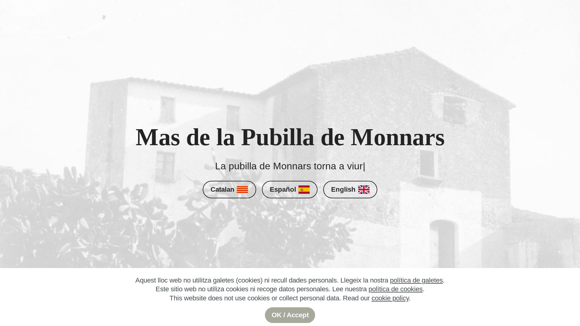website screenshot of https://masiaviva.pages.dev/