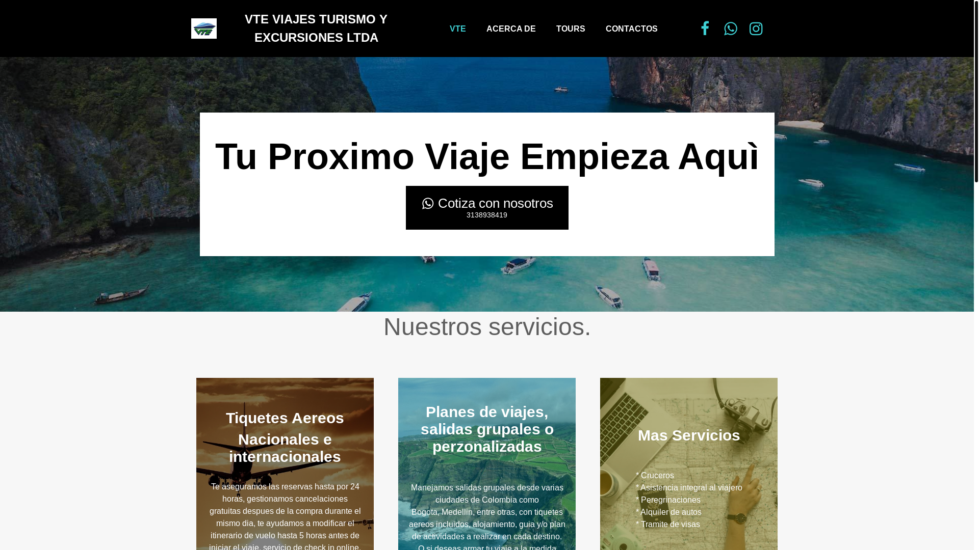 website screenshot of https://vteviajes.com/