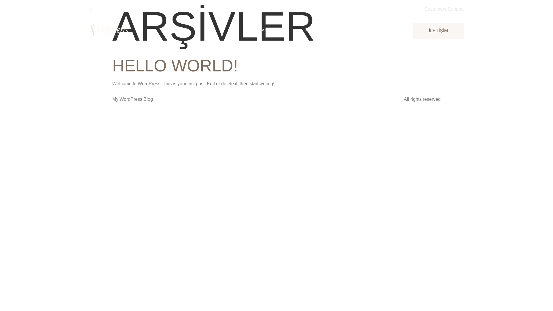 website screenshot of https://fizyoterapistefeturan.com.tr/