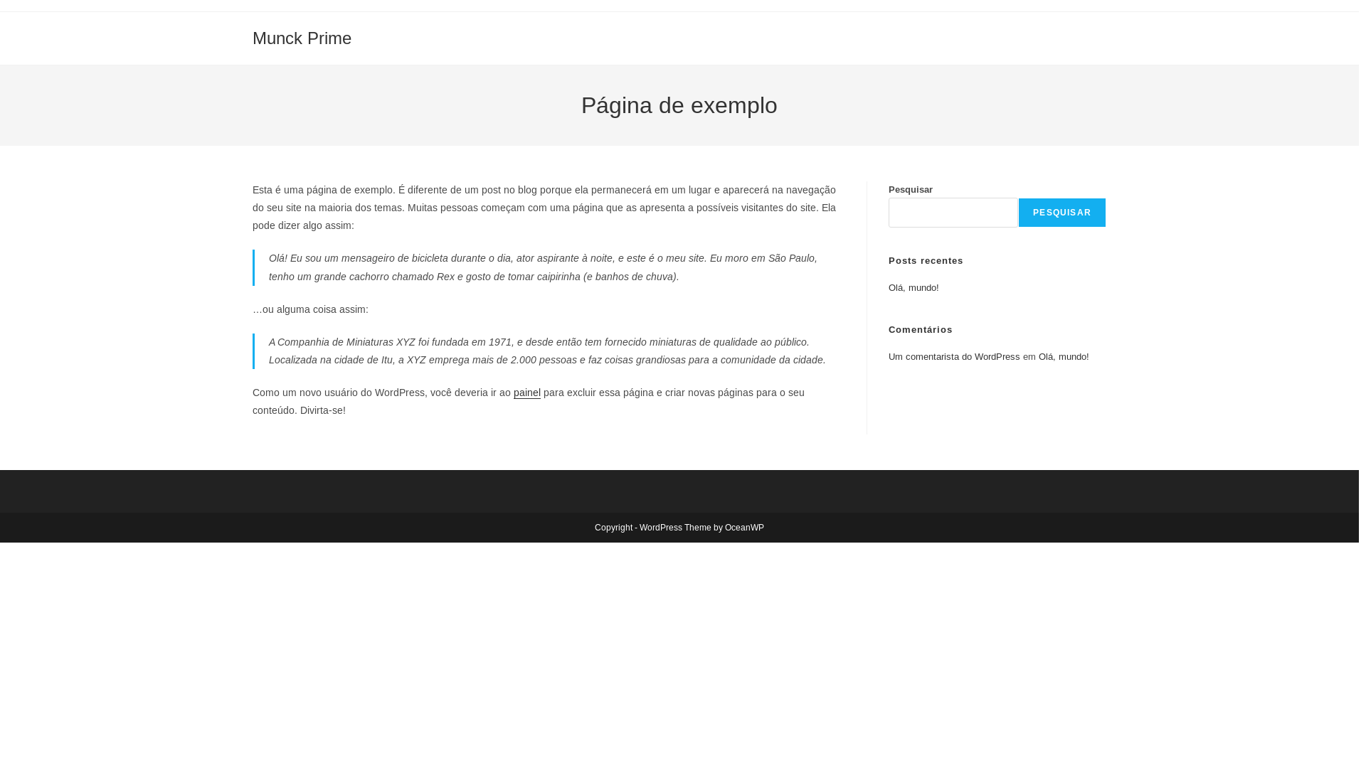 website screenshot of https://munckprime.com.br/