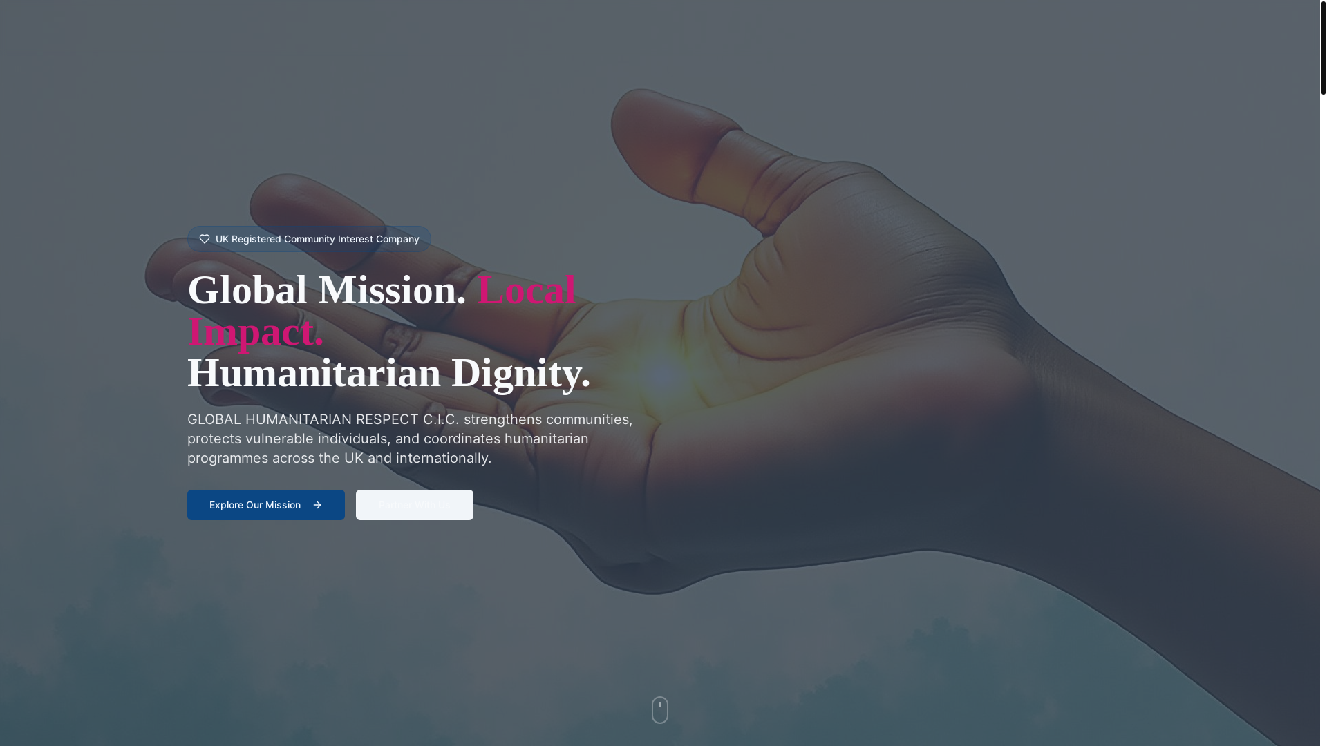 website screenshot of https://humanitarianrespect.org/