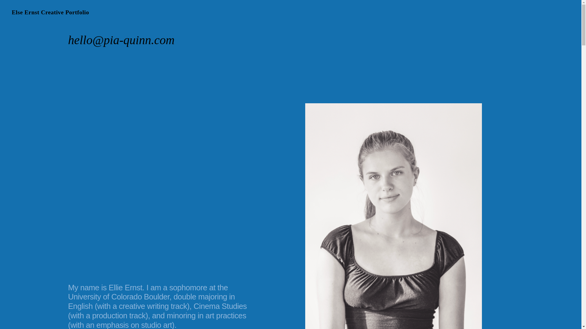 website screenshot of https://elseernstdesignportfolio.com/