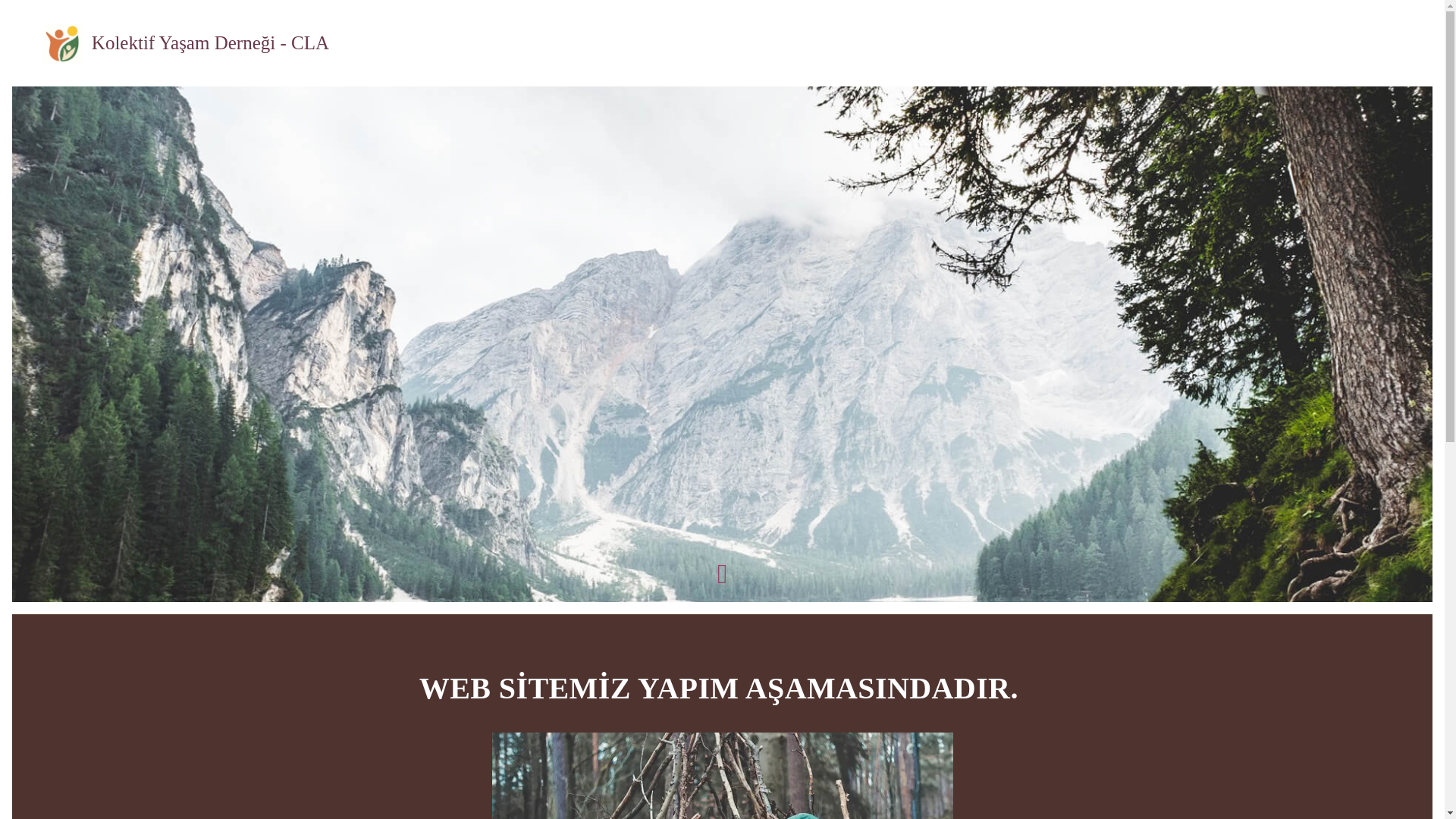 website screenshot of https://kolektifyasam.org/
