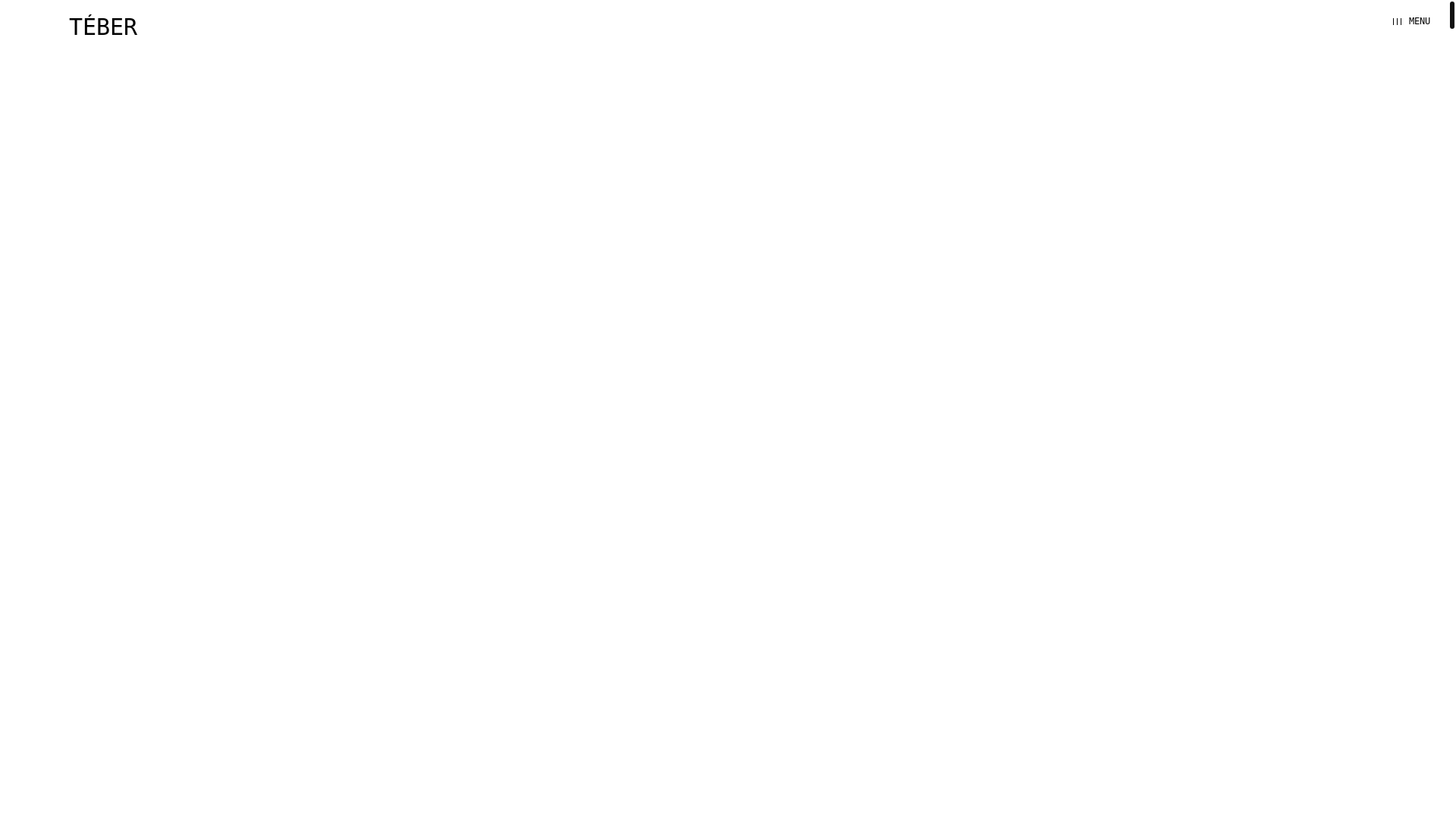 website screenshot of https://teber.info/