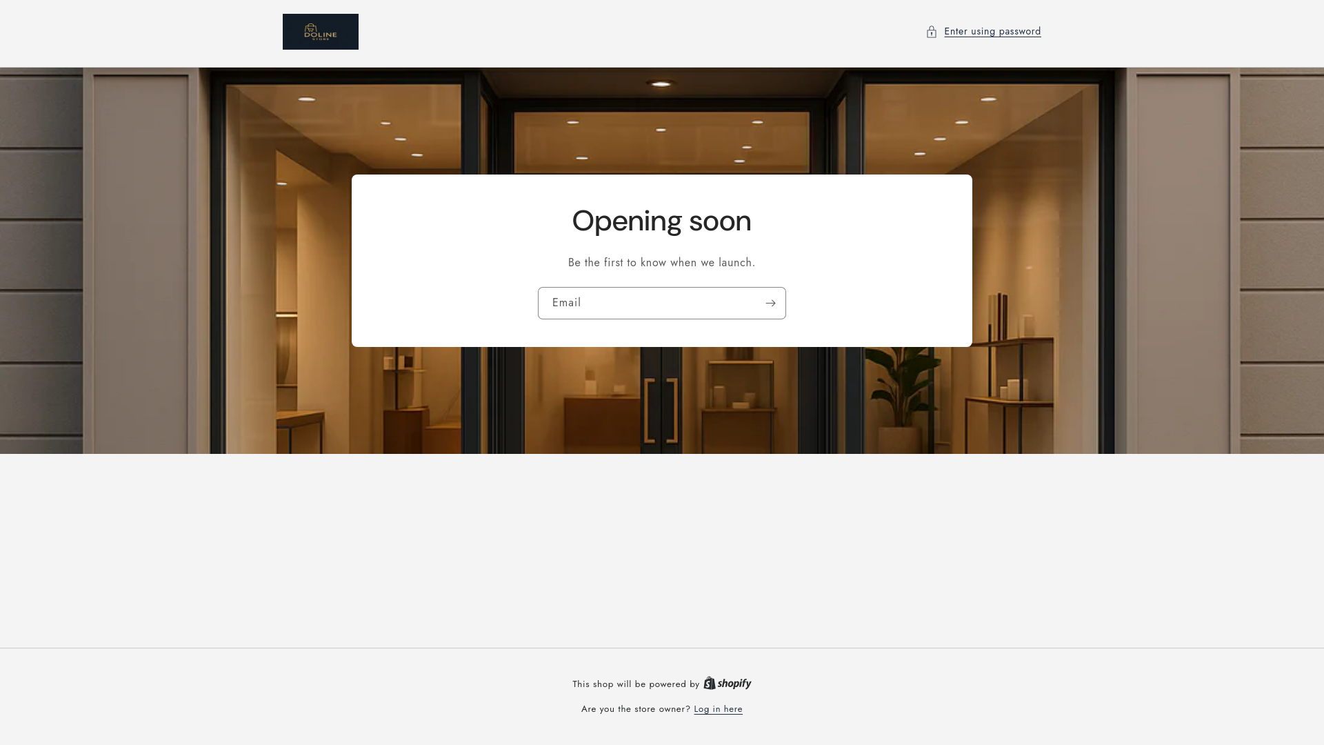 website screenshot of https://dolinestore.com/